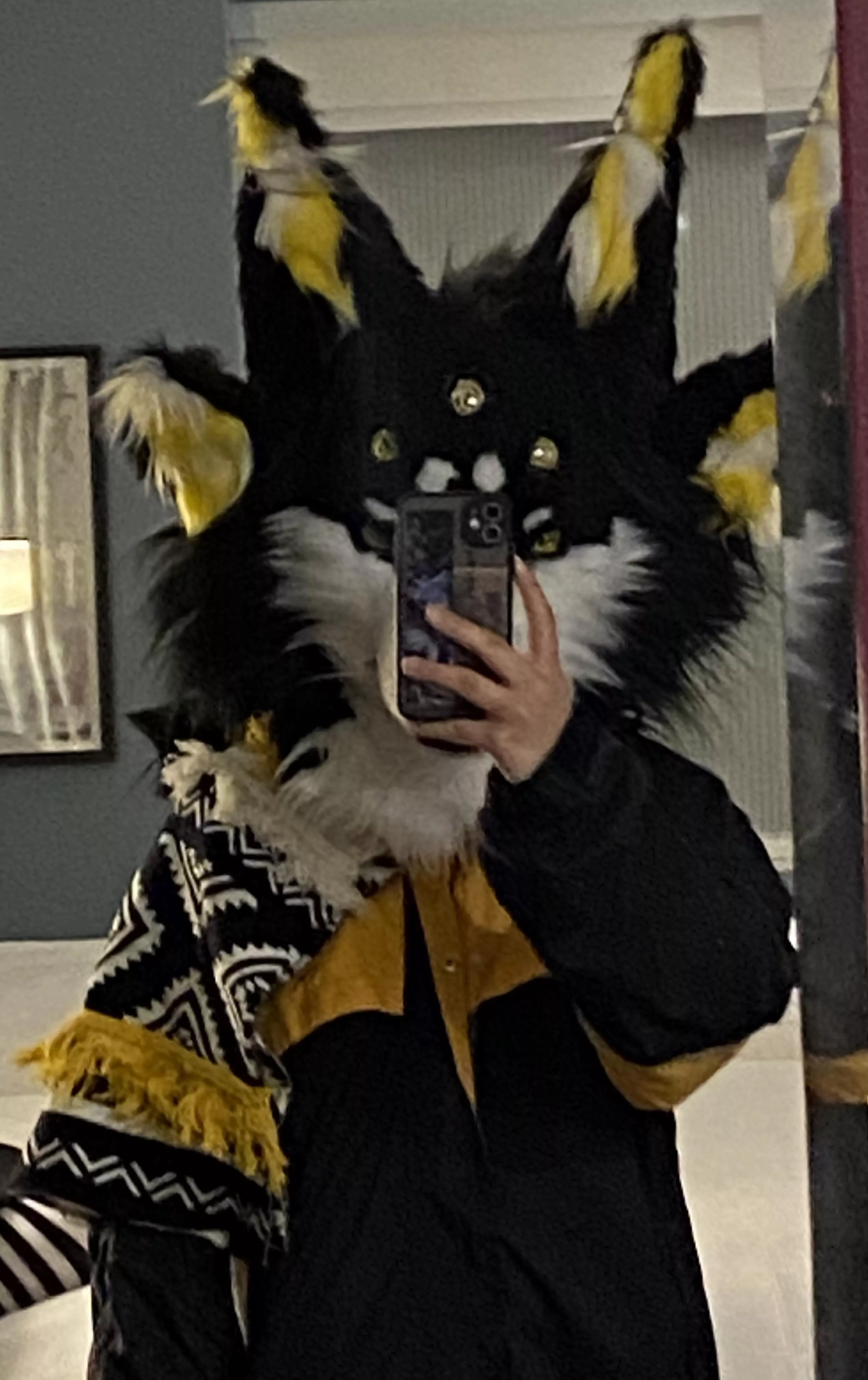 First fursuit - ND