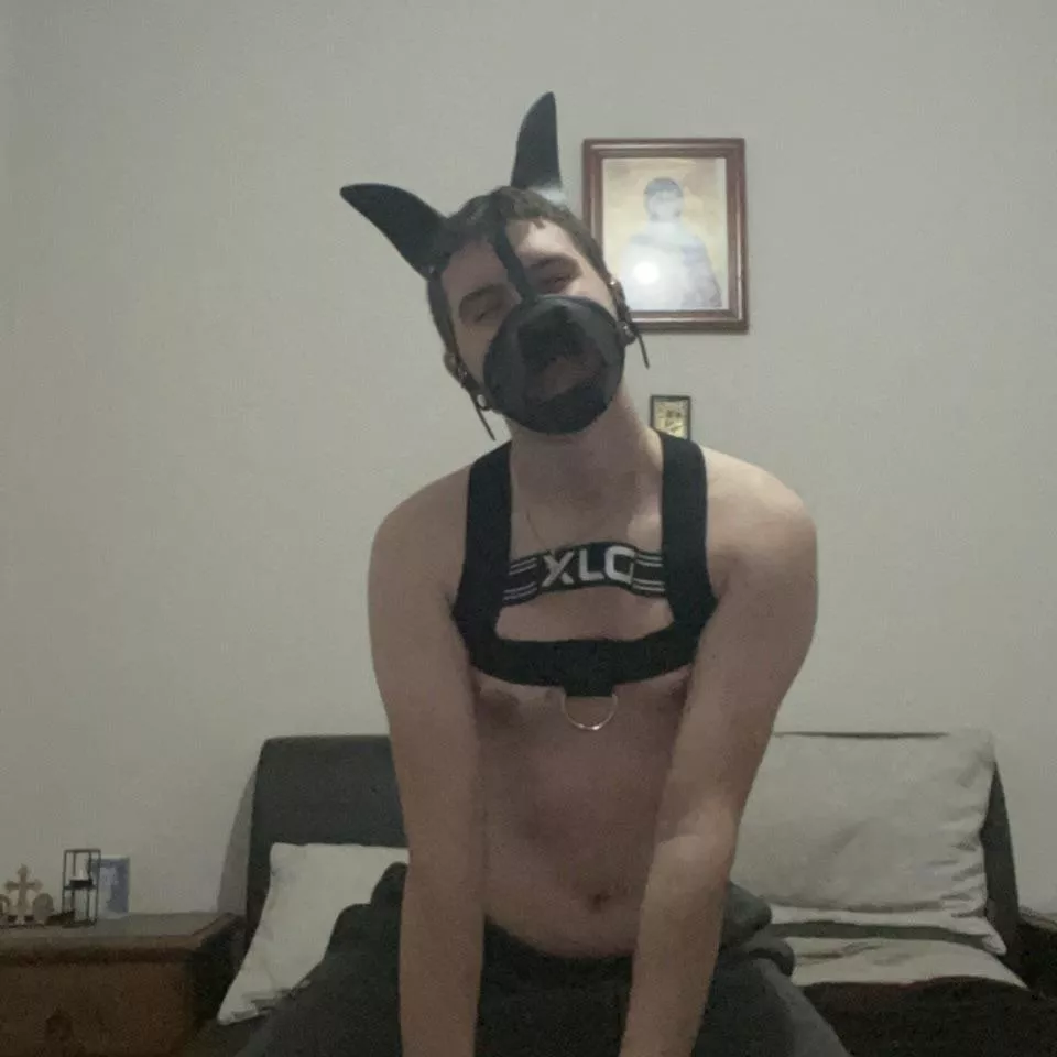 First post here, awruff