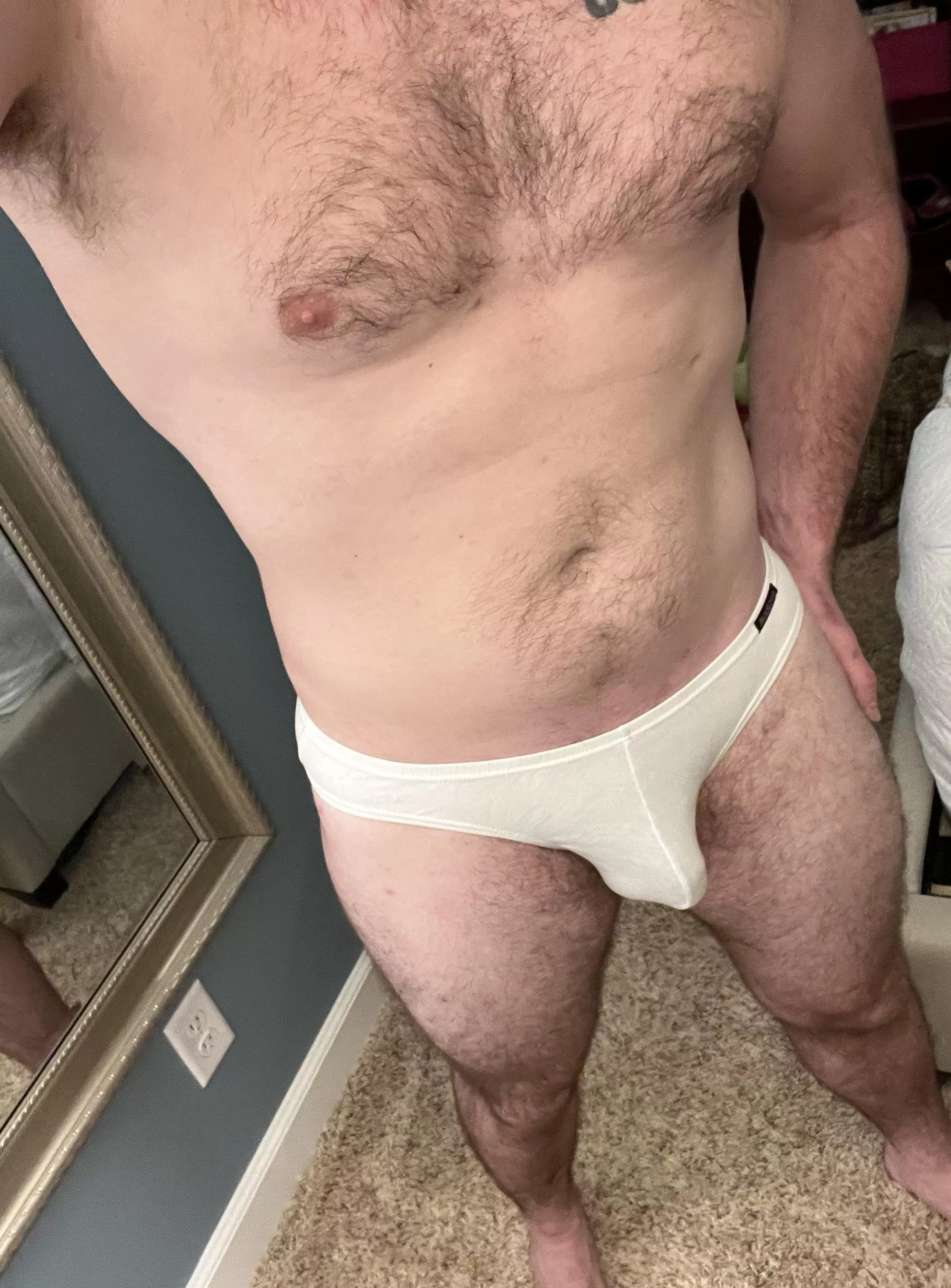 First post here :) My very brief briefs