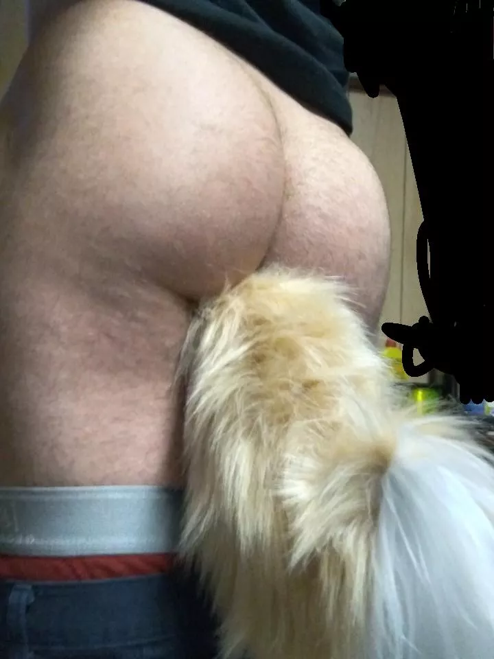 First Step In My Shiba Pup Outfit( A Cite Fluffy Tail)