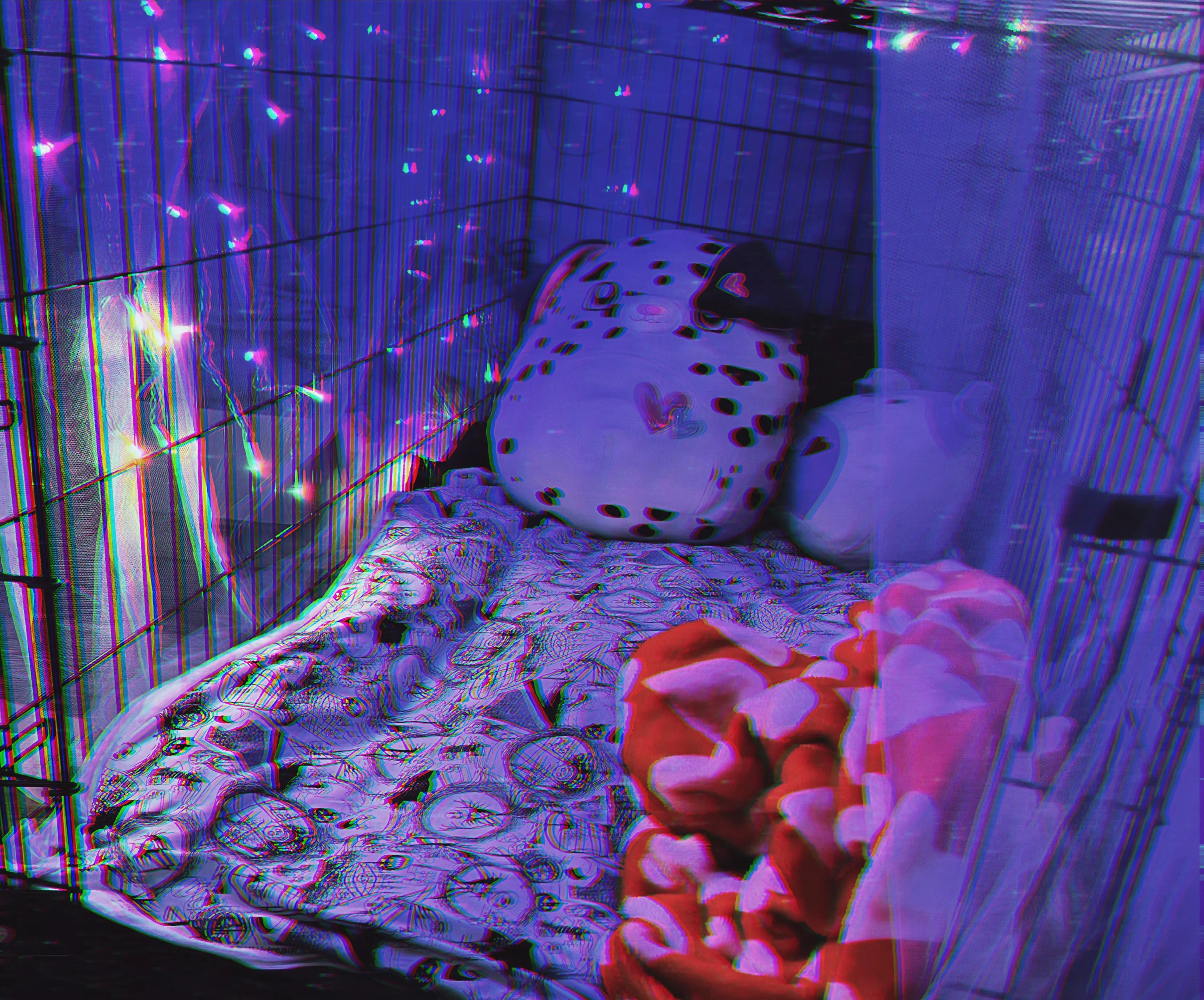 First time posting ðŸ–¤ðŸ¾ Wanted to show off my new kennel set up!