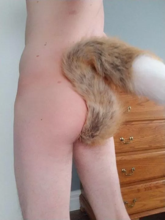 First ti(m)e with a Foxtale