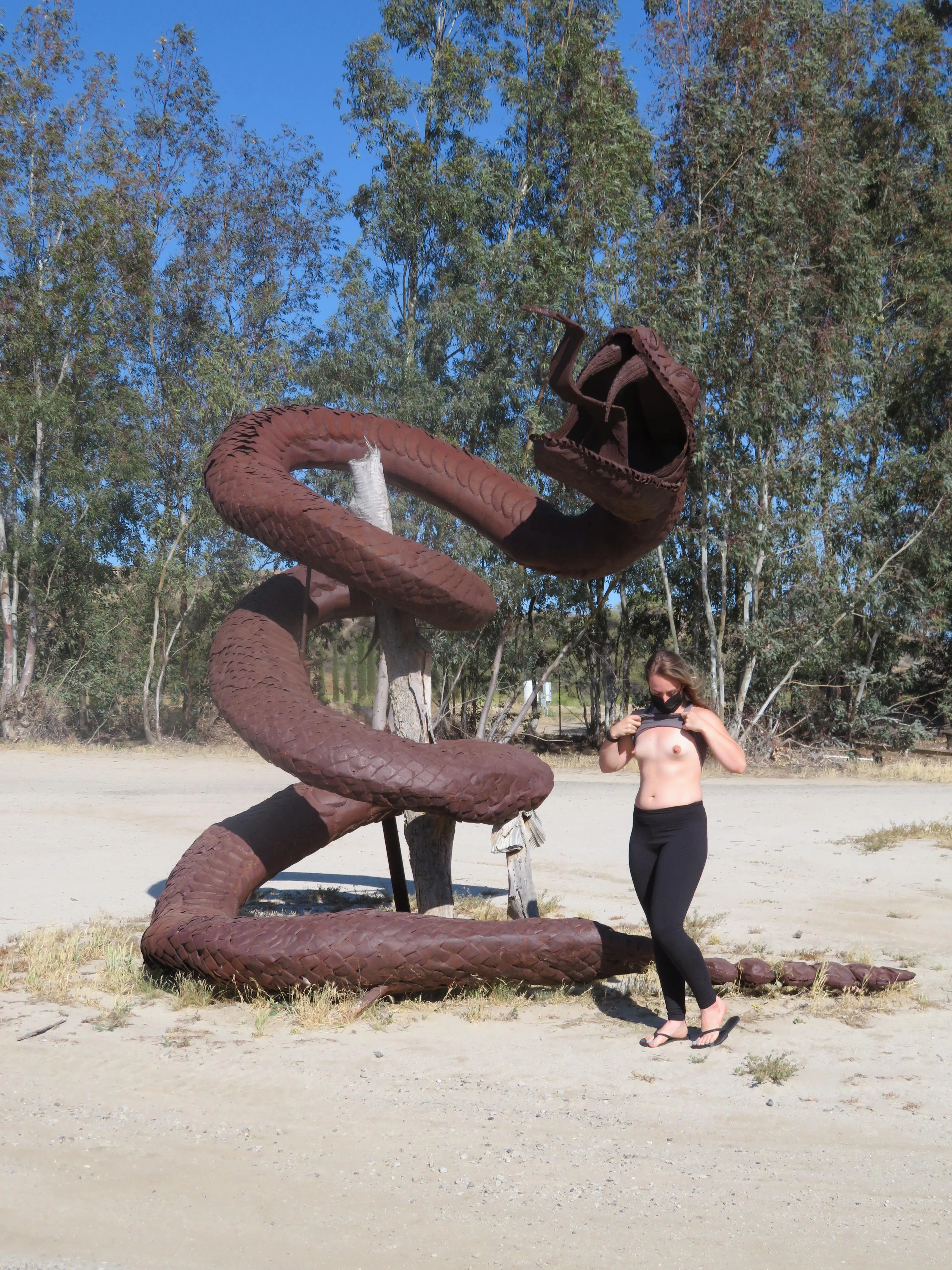 Flashing With A Sculpture