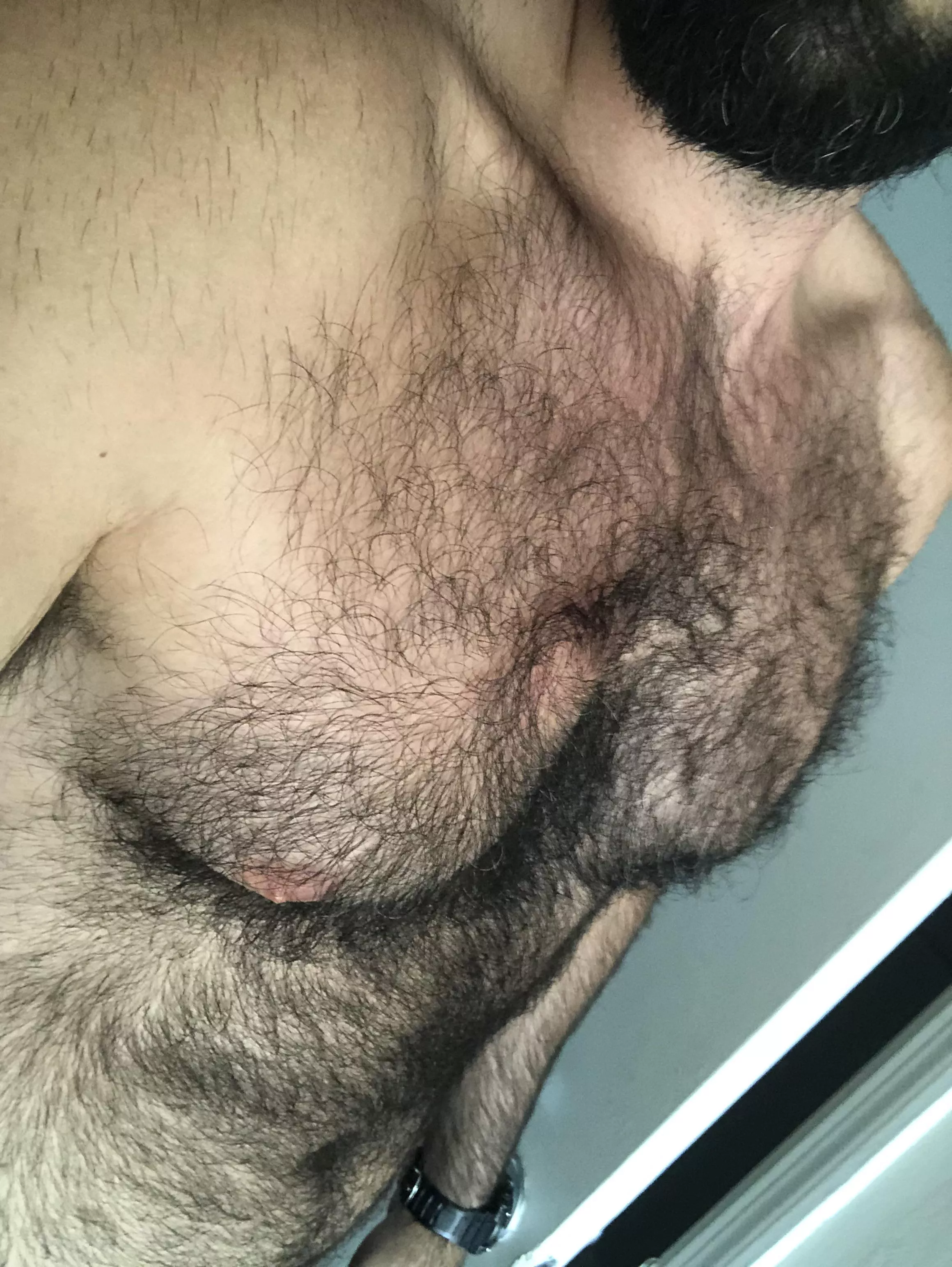 For the hairy chest loverâ€™s