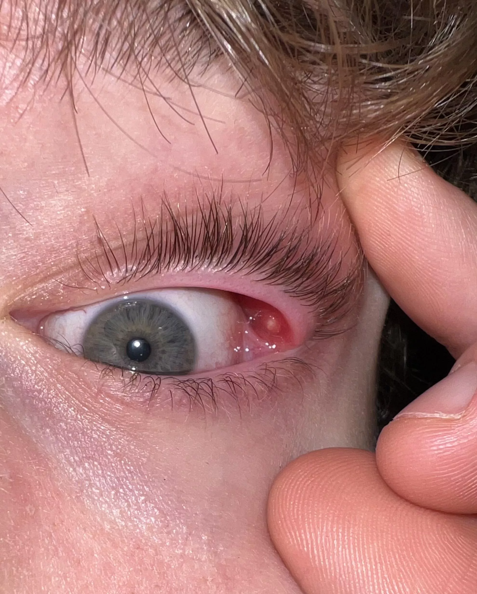 Forbidden Pop- internal stye