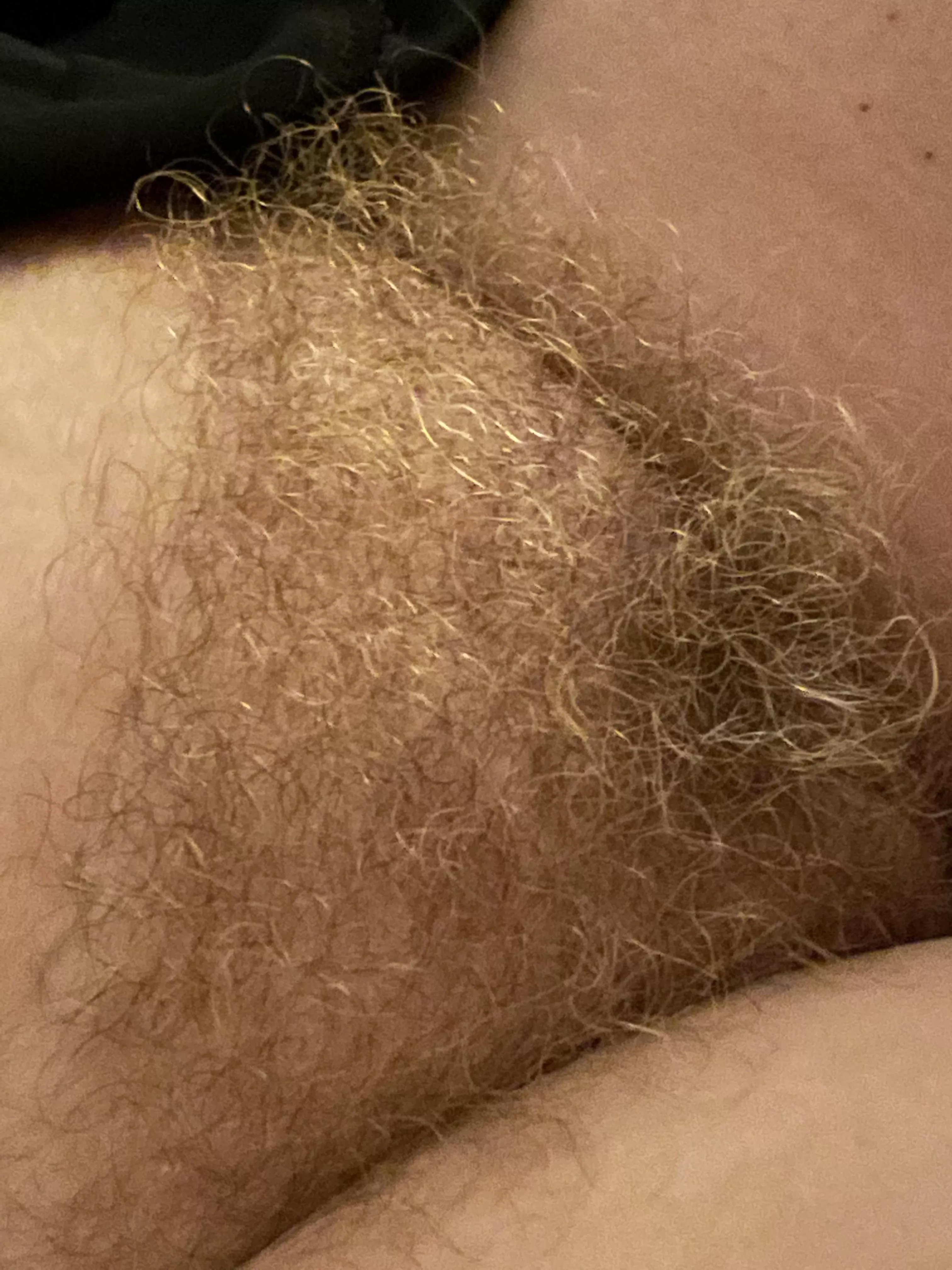 Fresh out of the shower and itâ€™s as soft as it looks.