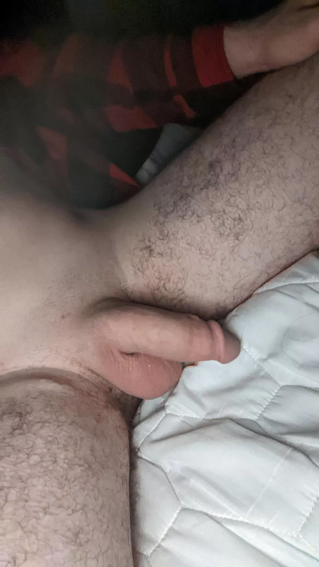 freshly shaved softie