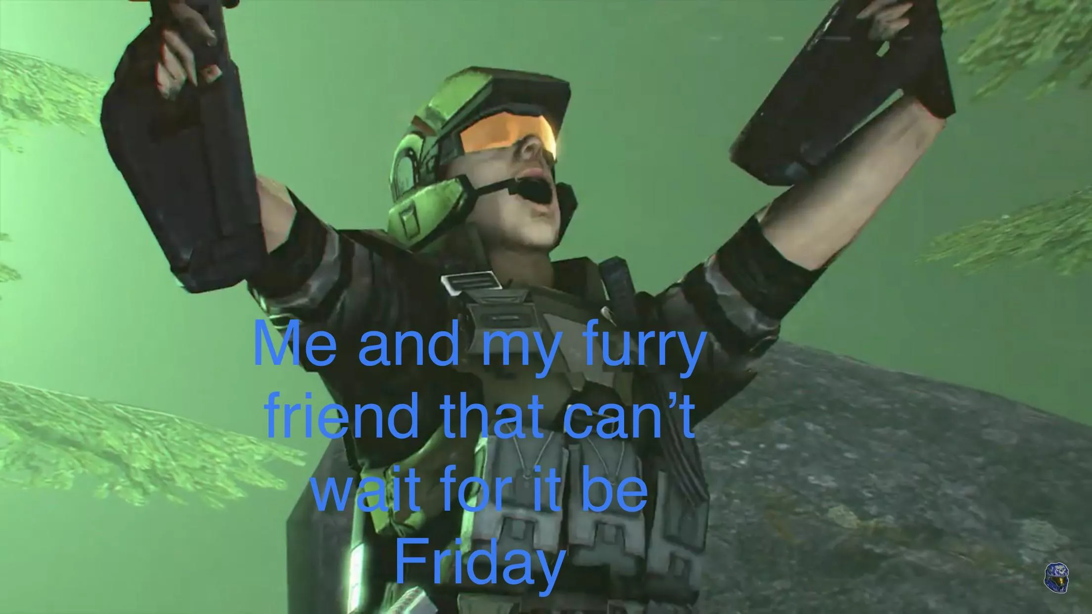 Friday is the best day