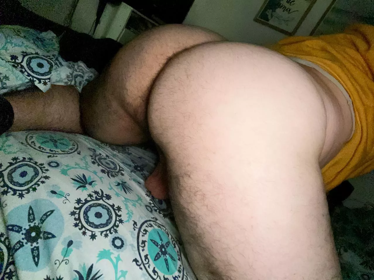 Fuck my hairy ass, do you want?