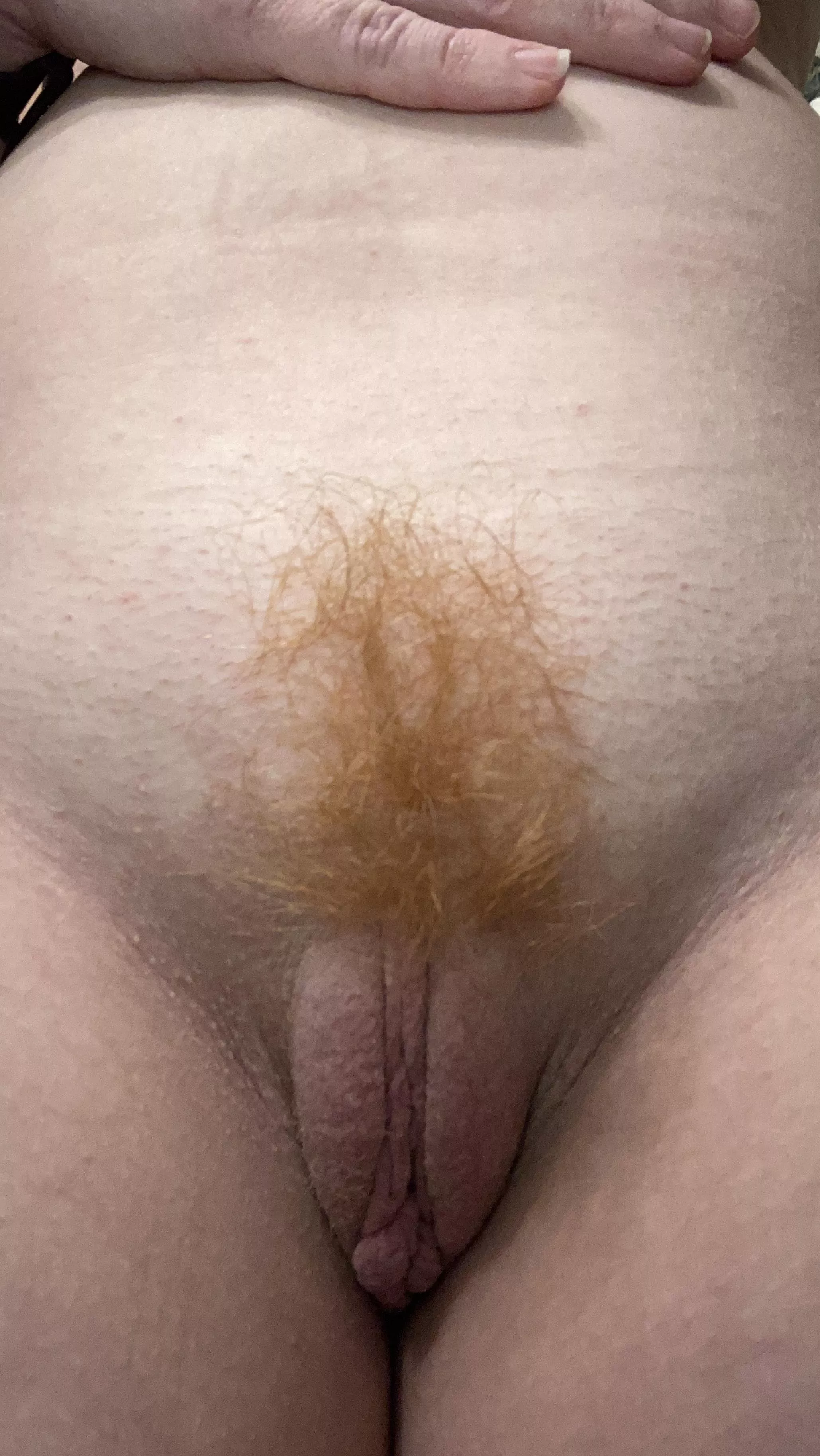 Full bush or groomed?