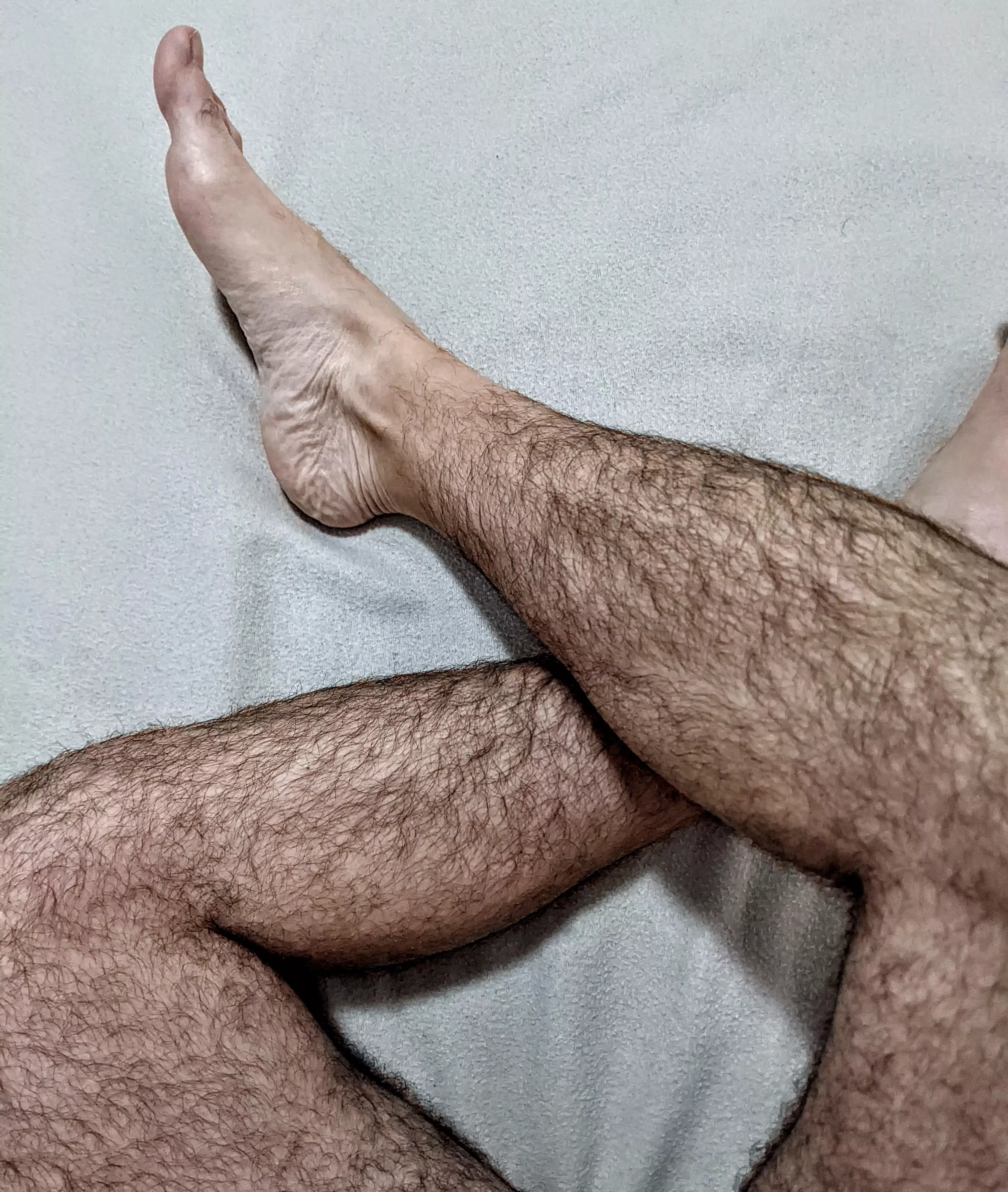 Furry legs are the best