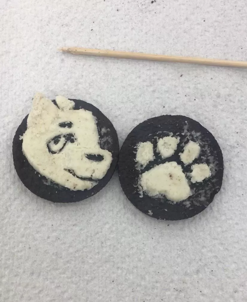 furry oreos i made lol