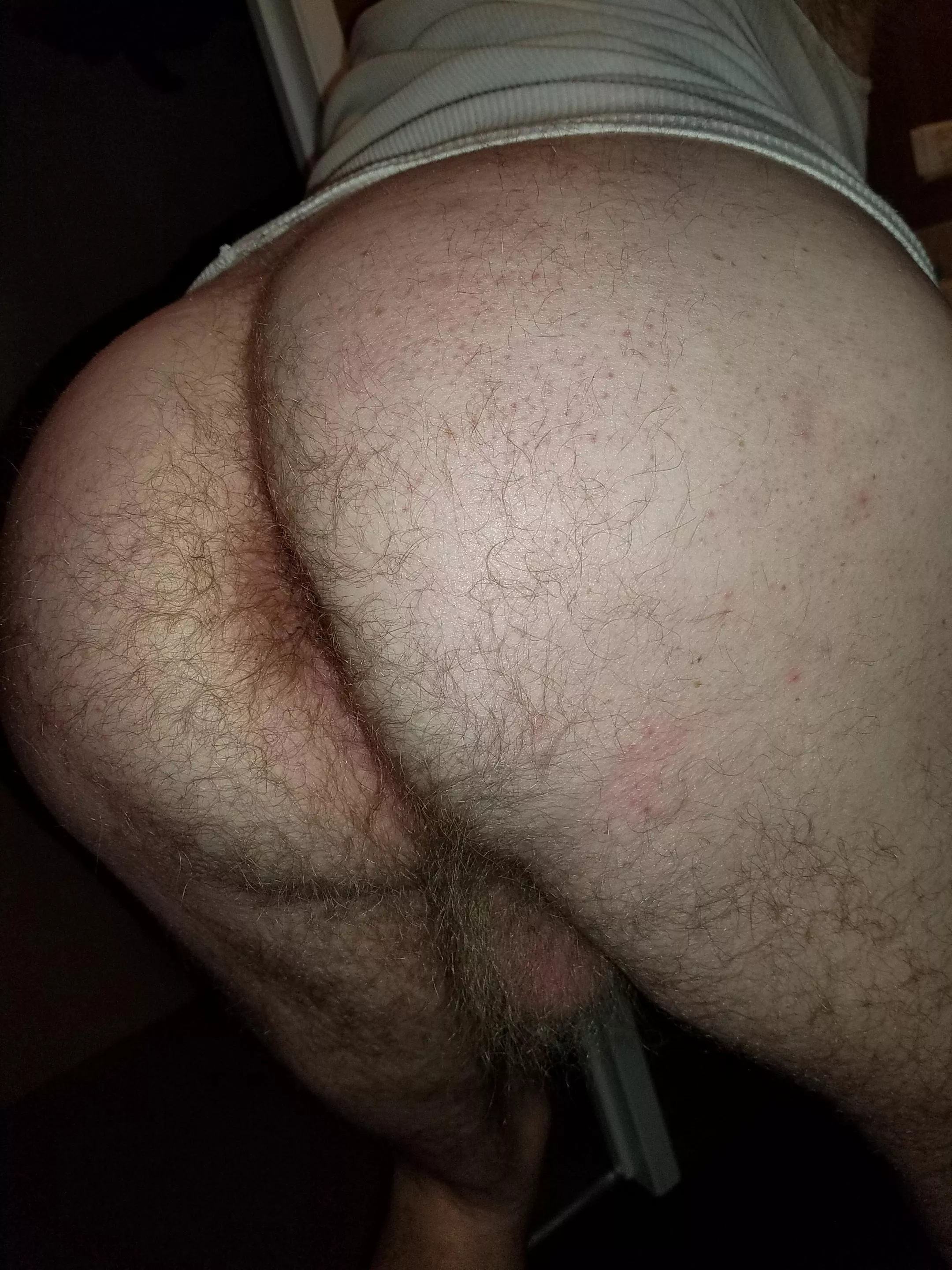 fuzzy bear butt and balls