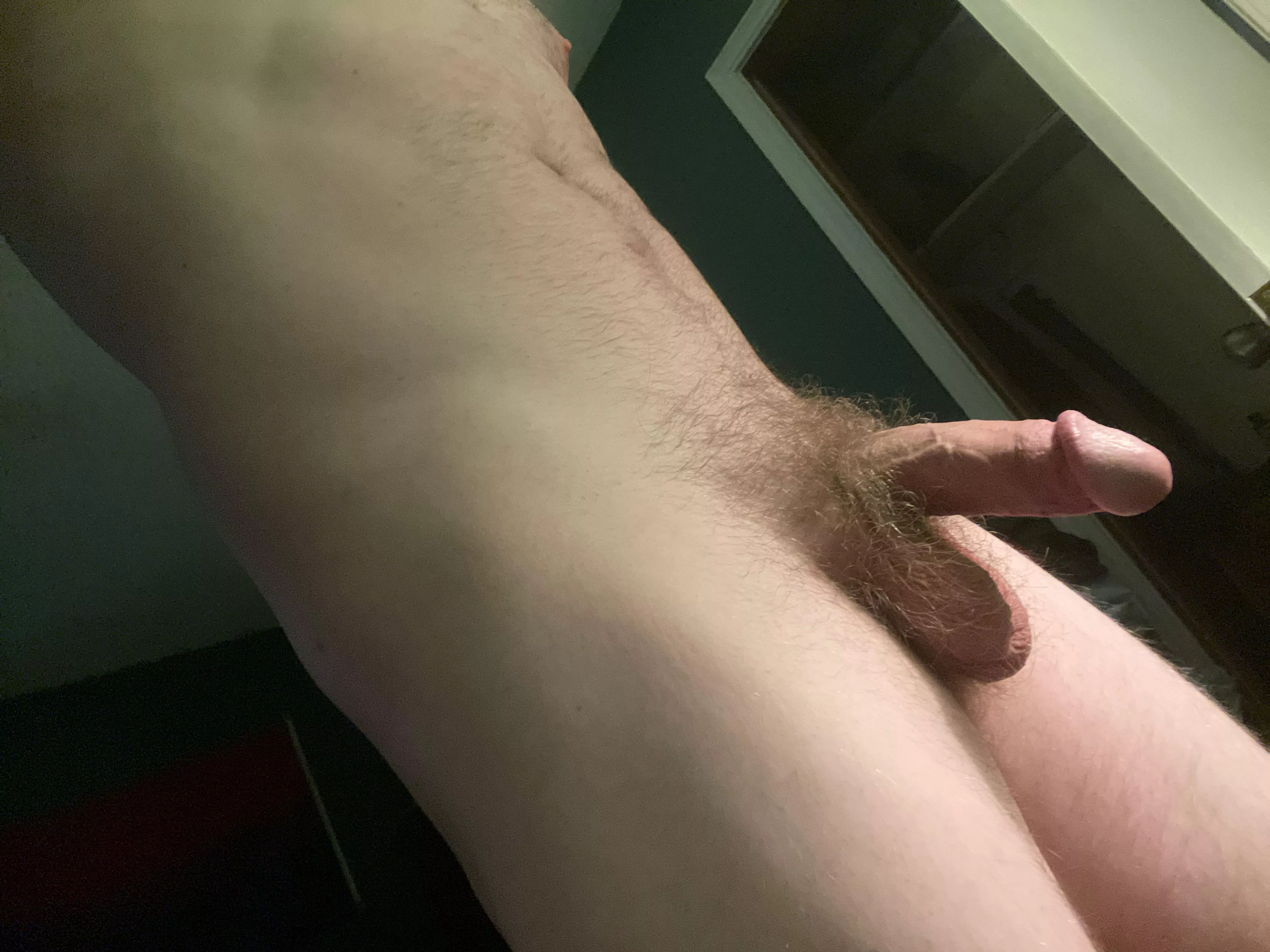 Getting bushier every day (DM open)