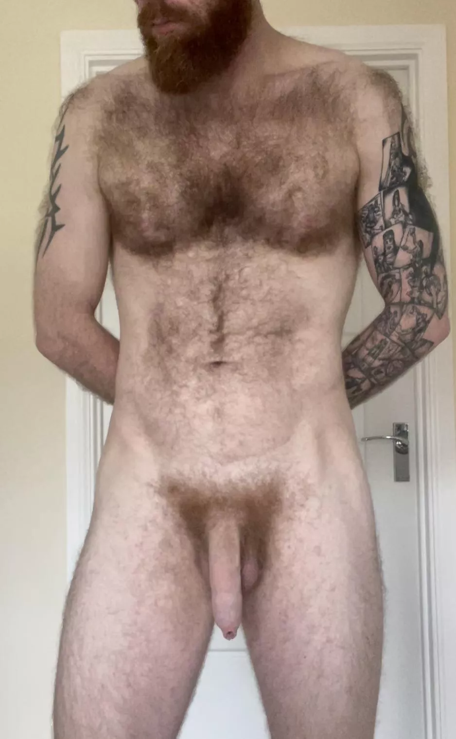 Ginger alpha hairy daddy!!! Come and say hello 👋🏼