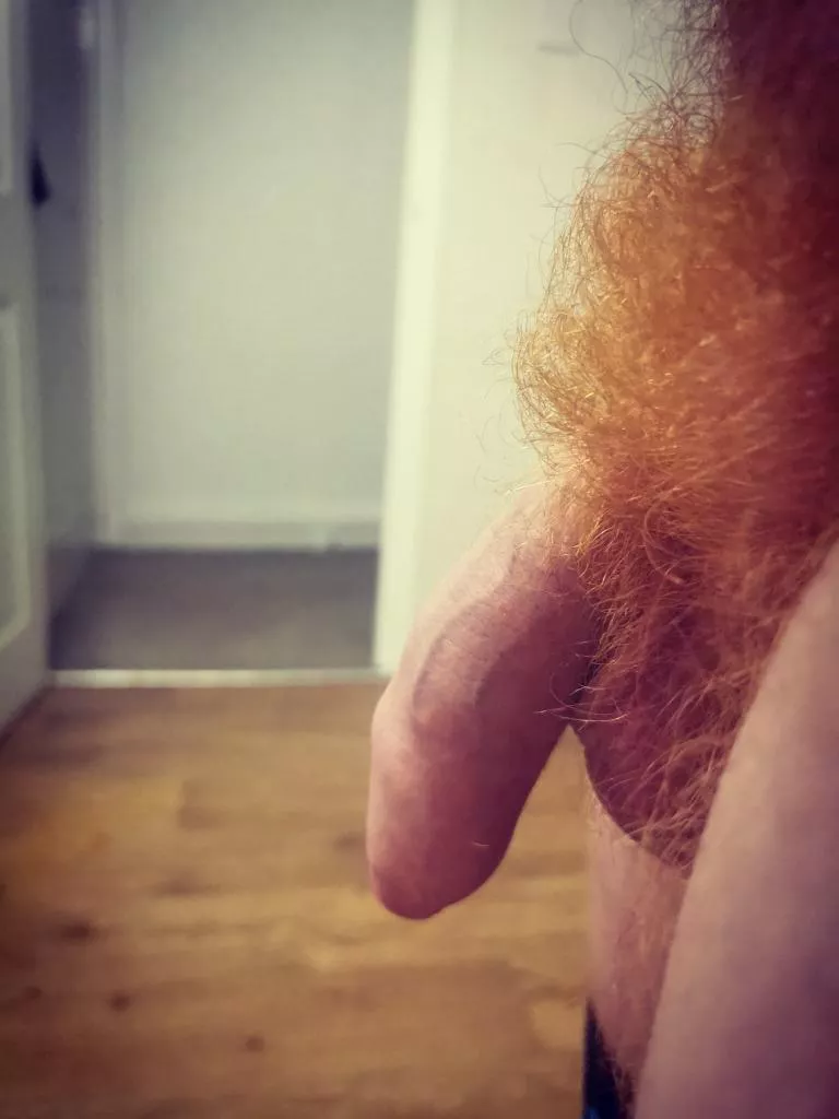 Ginger bush