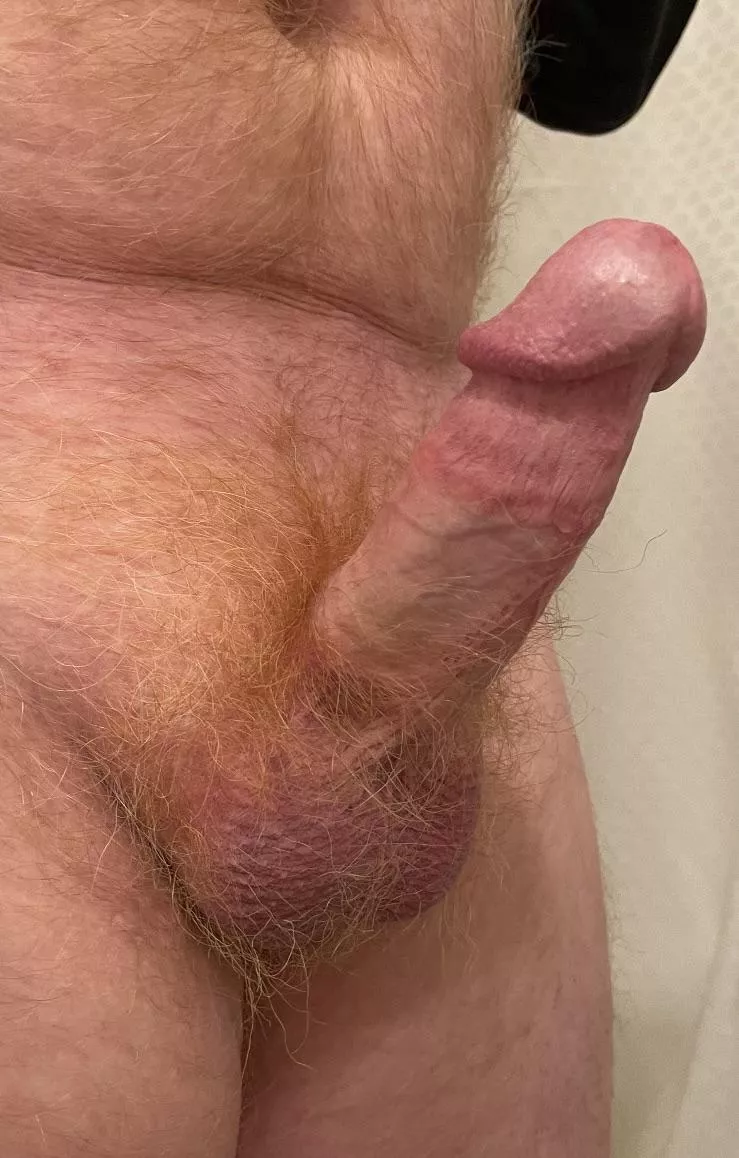 Ginger cut cock