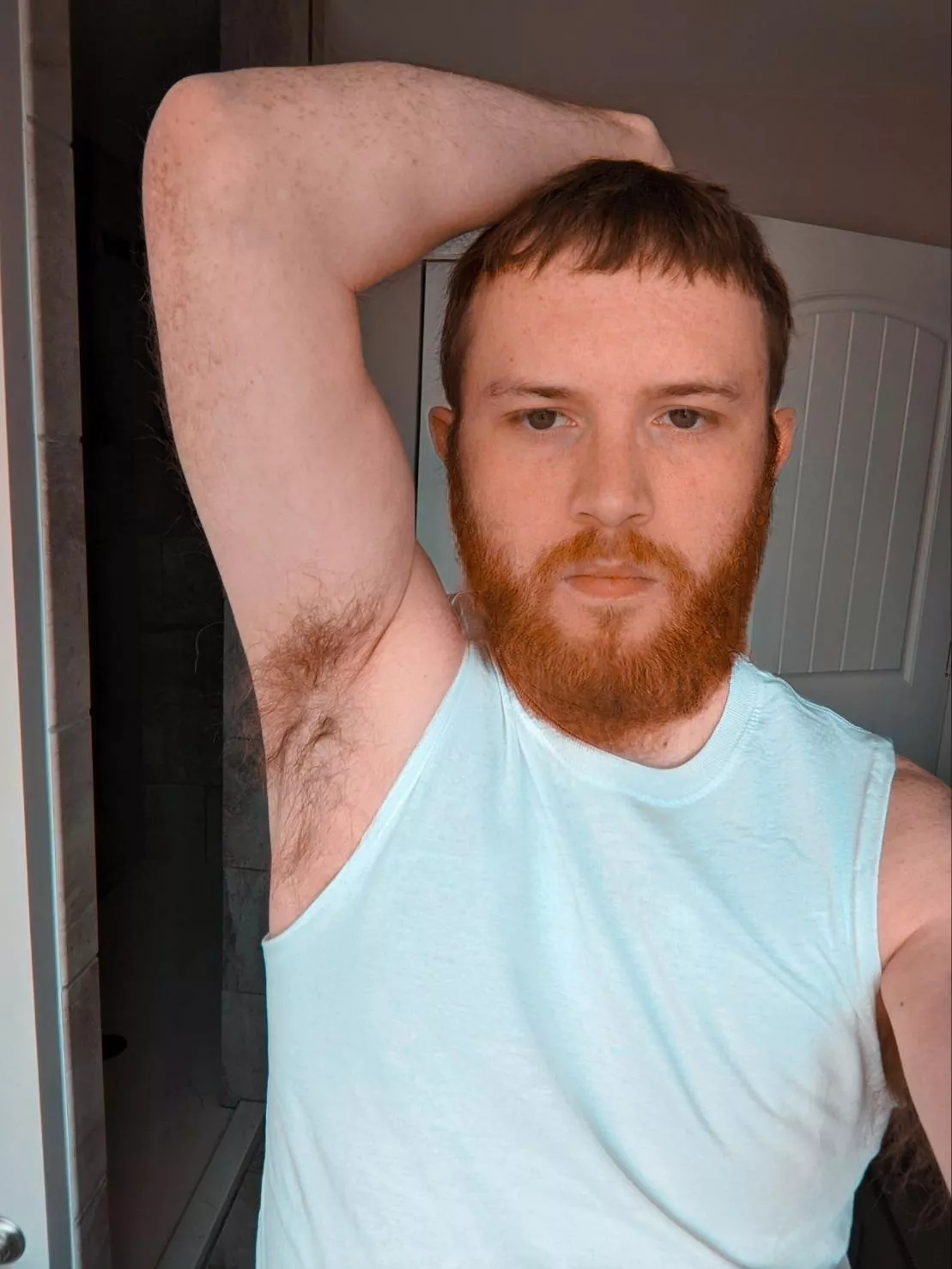 ginger pits