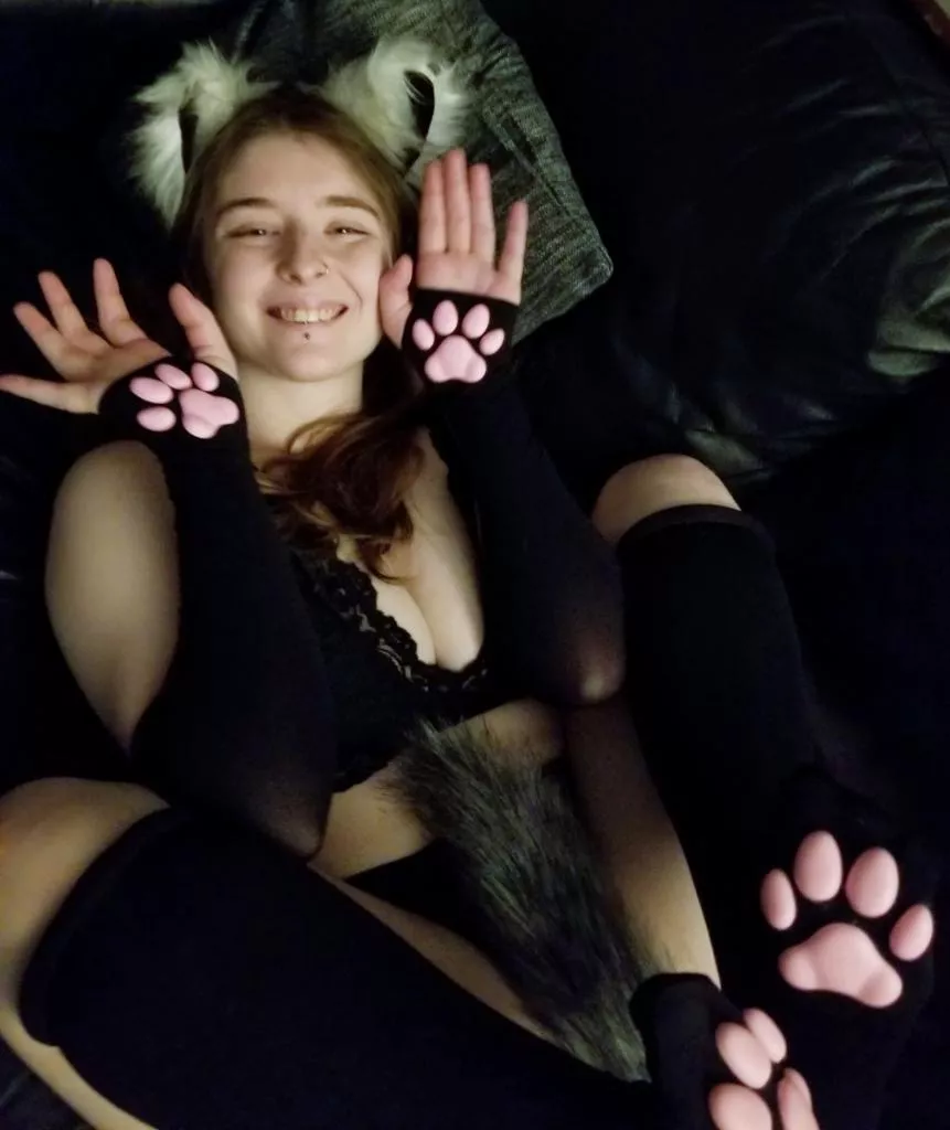 Gonna need some real kitty ears soonâ€¦ but i love these paws!!