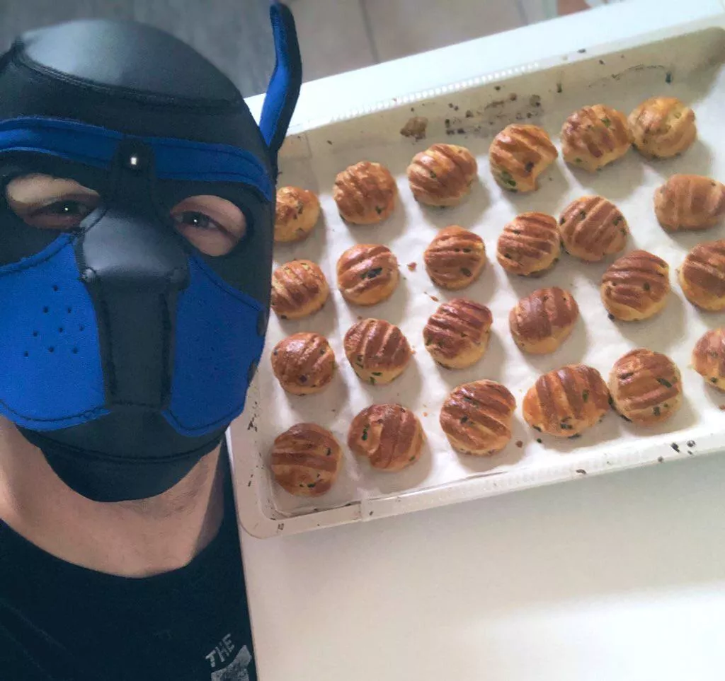 Gonna surprise the boyfriend with homemade snacks. Yup, this doggo can bake!🤫