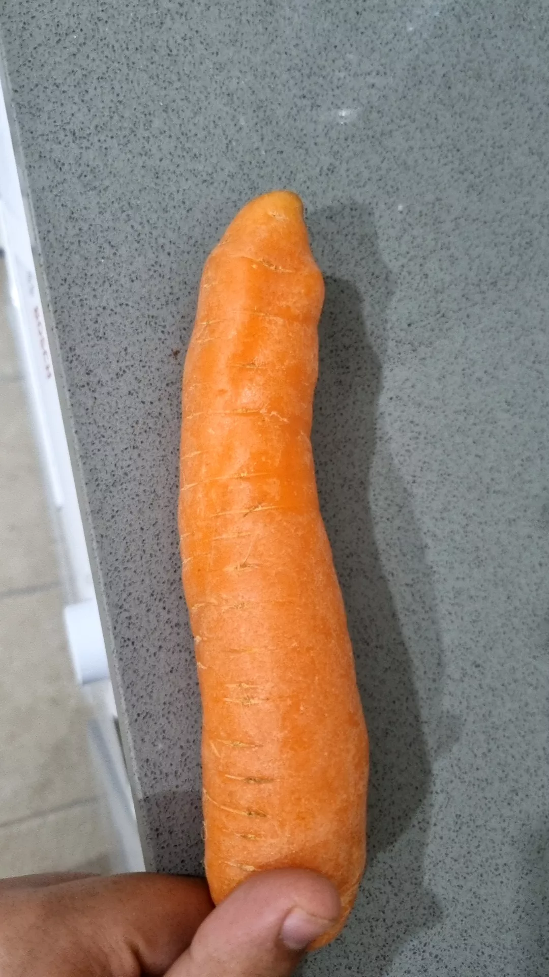 got a dog dick looking carrot, gonna have fun ðŸ˜‰