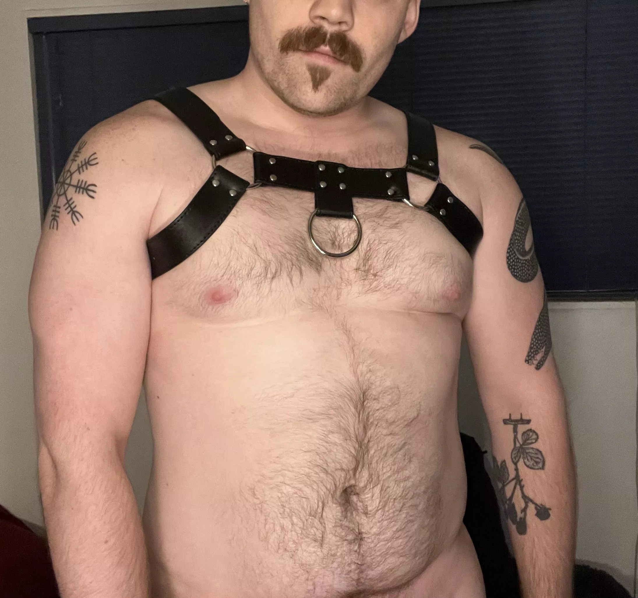 Got my first harness