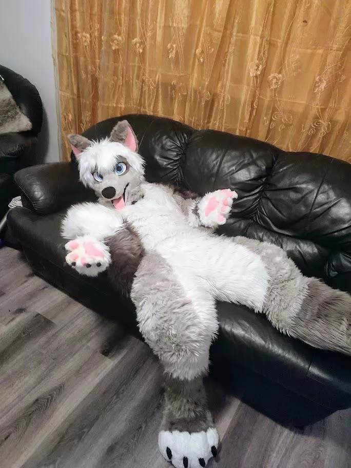 Got my new fursuit, offering hugs! (wolf_daz)