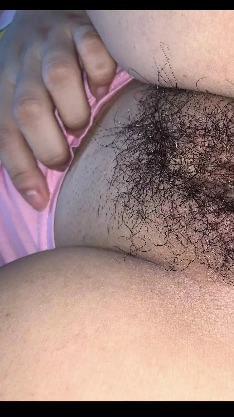 Growing this bush out nicely (f) 33