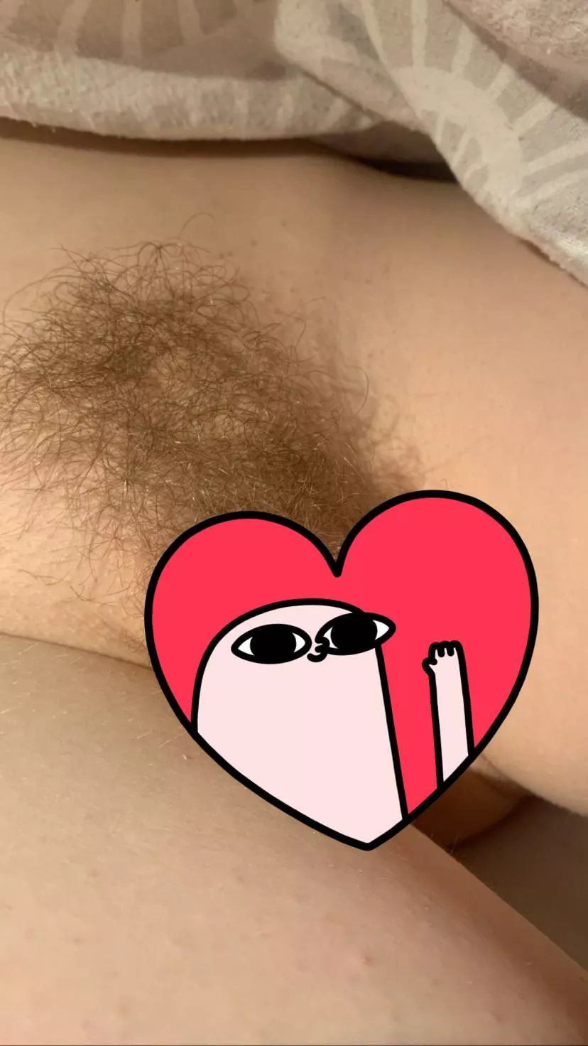 Guy my age call my pubes disgusting 🙁