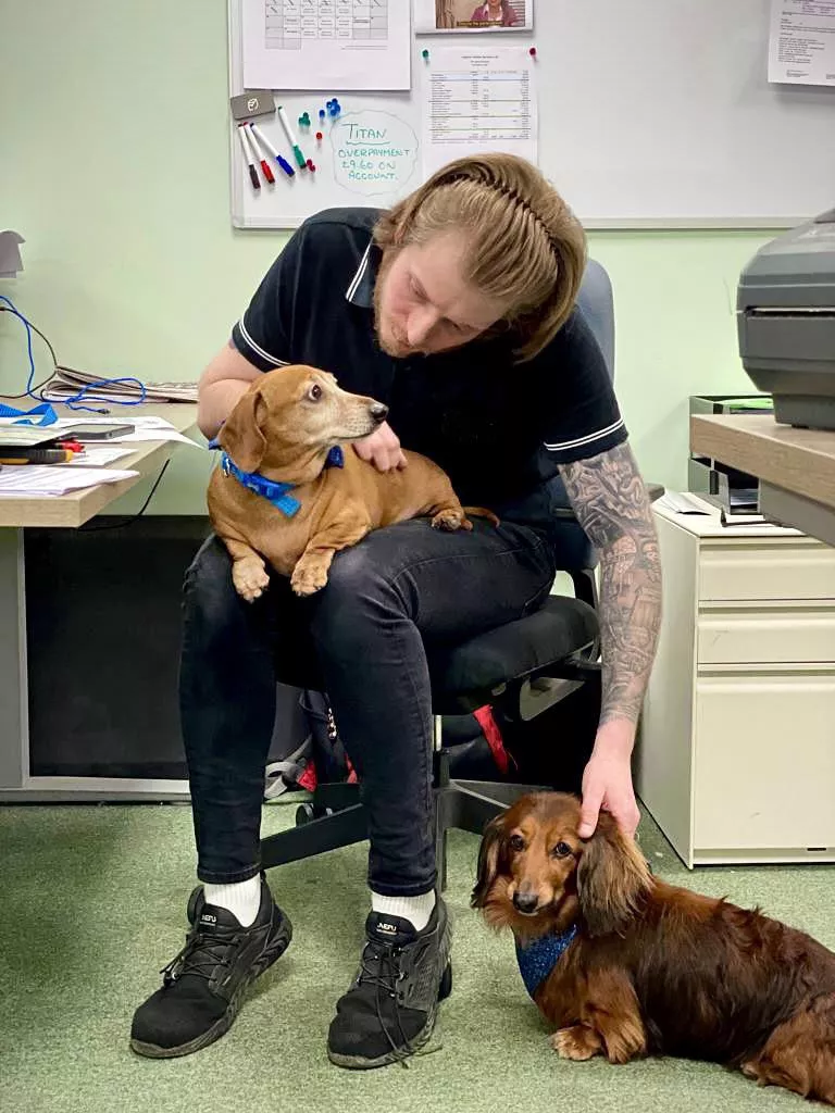 Had some furry visitors in the office today! Trying out wearing a hair band too, what do you guys think?