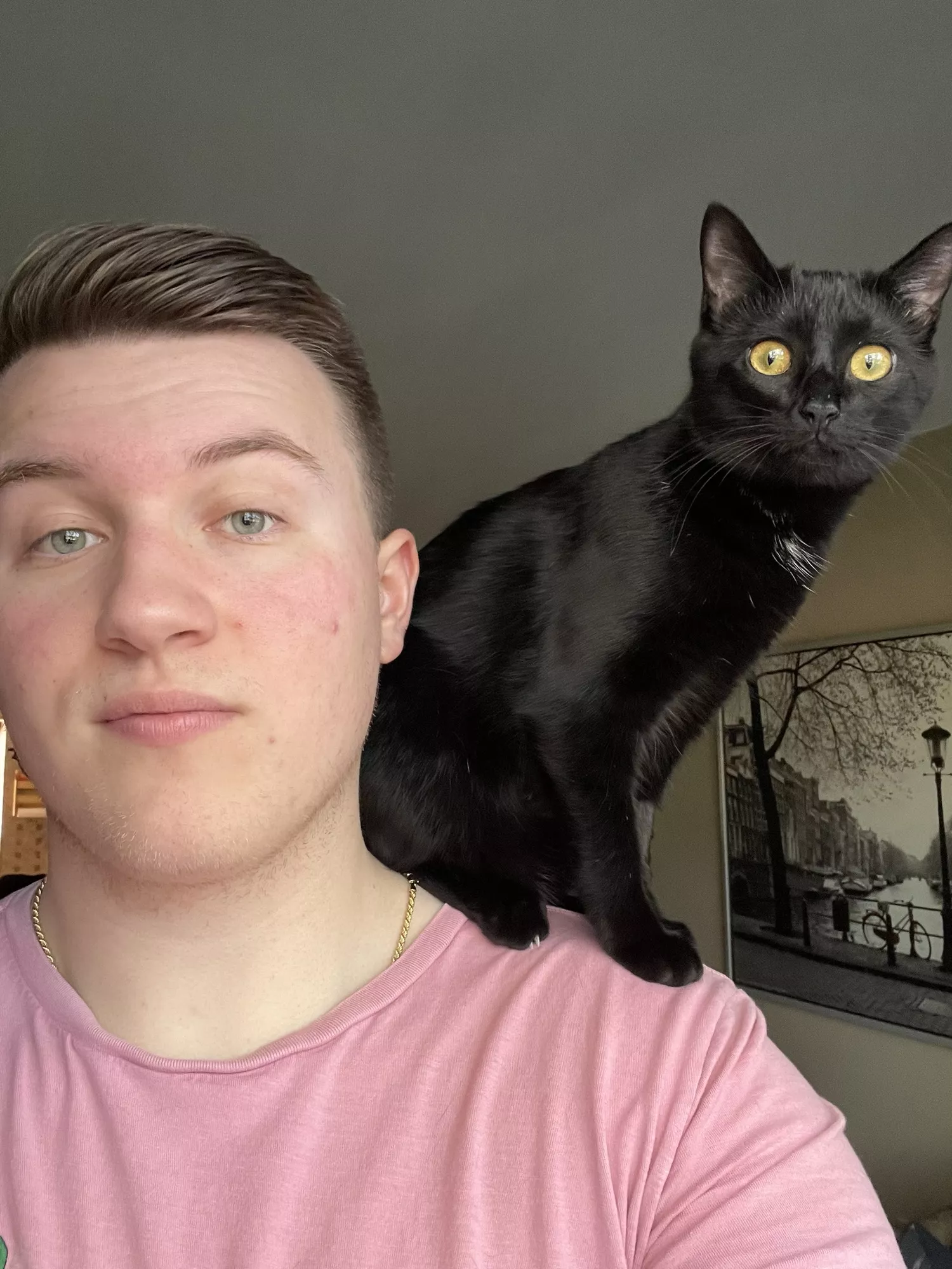 Had to give the kitten a good perch to watch the birds