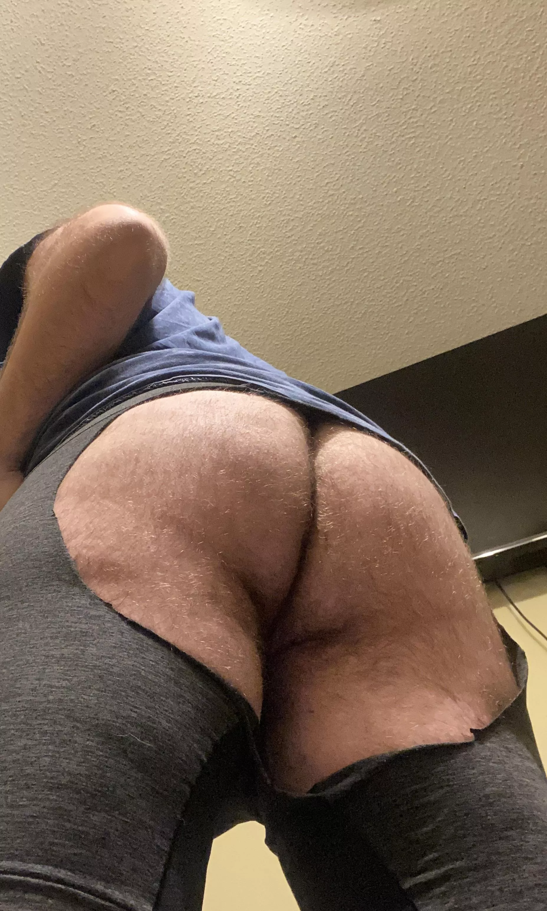 Hairy and plump