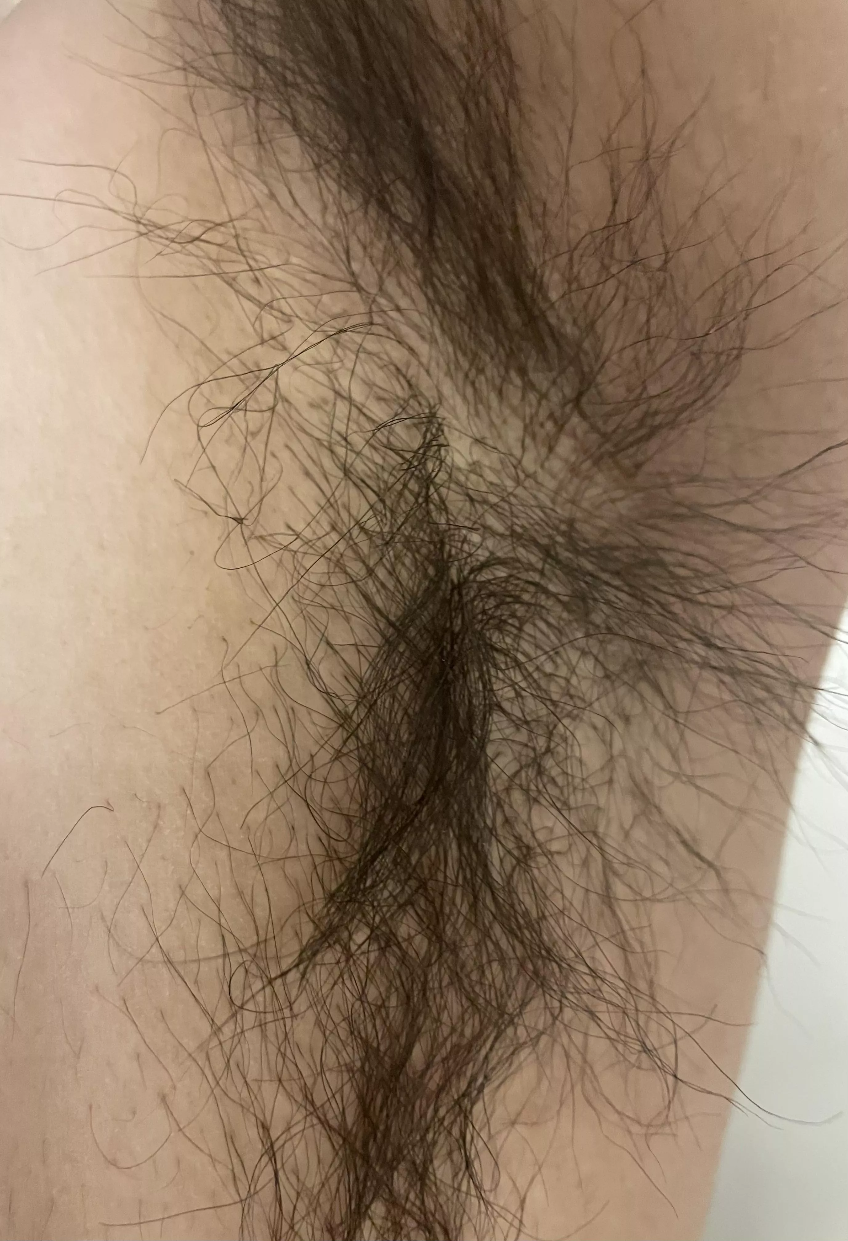 Hairy armpit