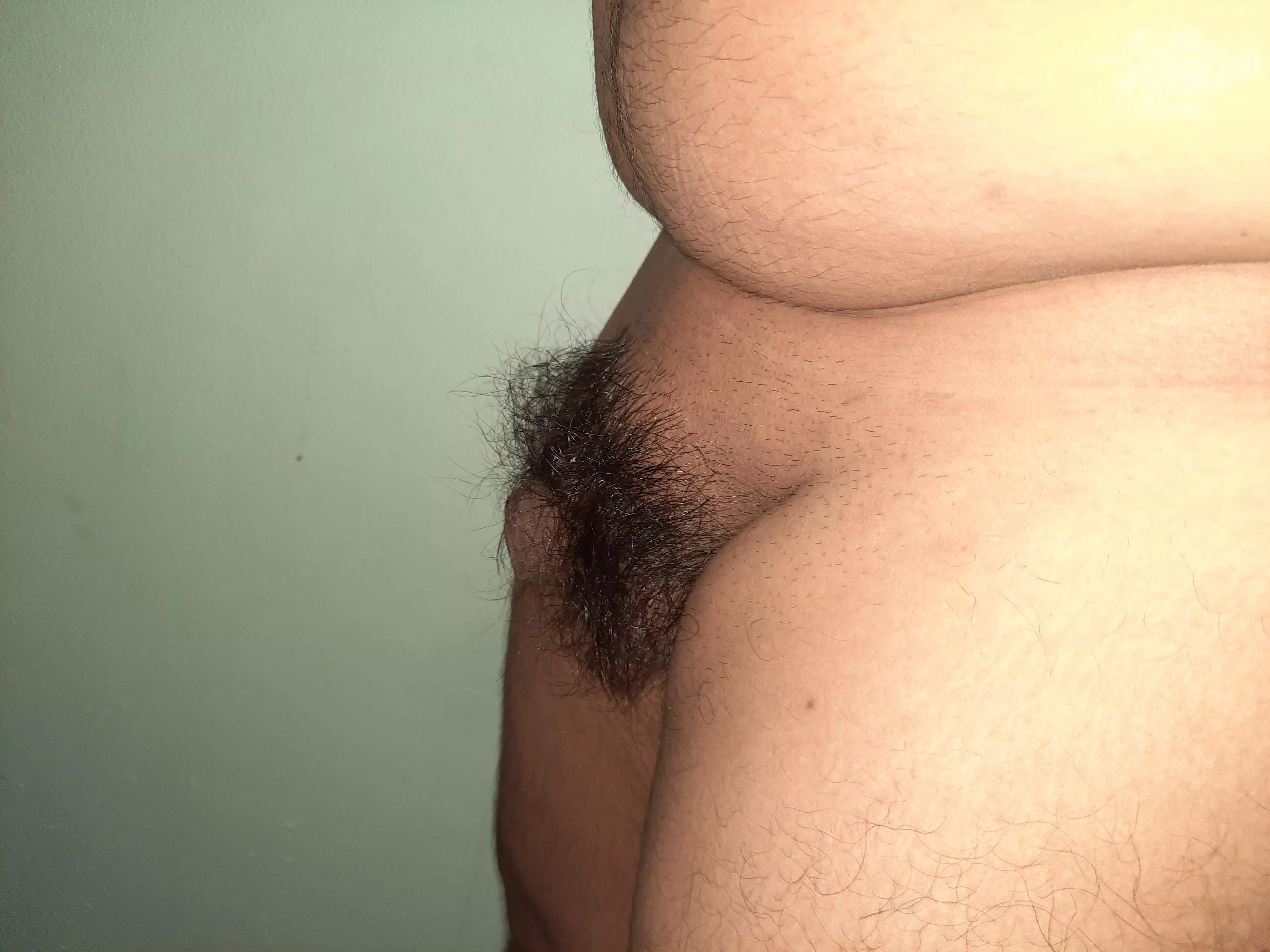 hairy asian penis [24]