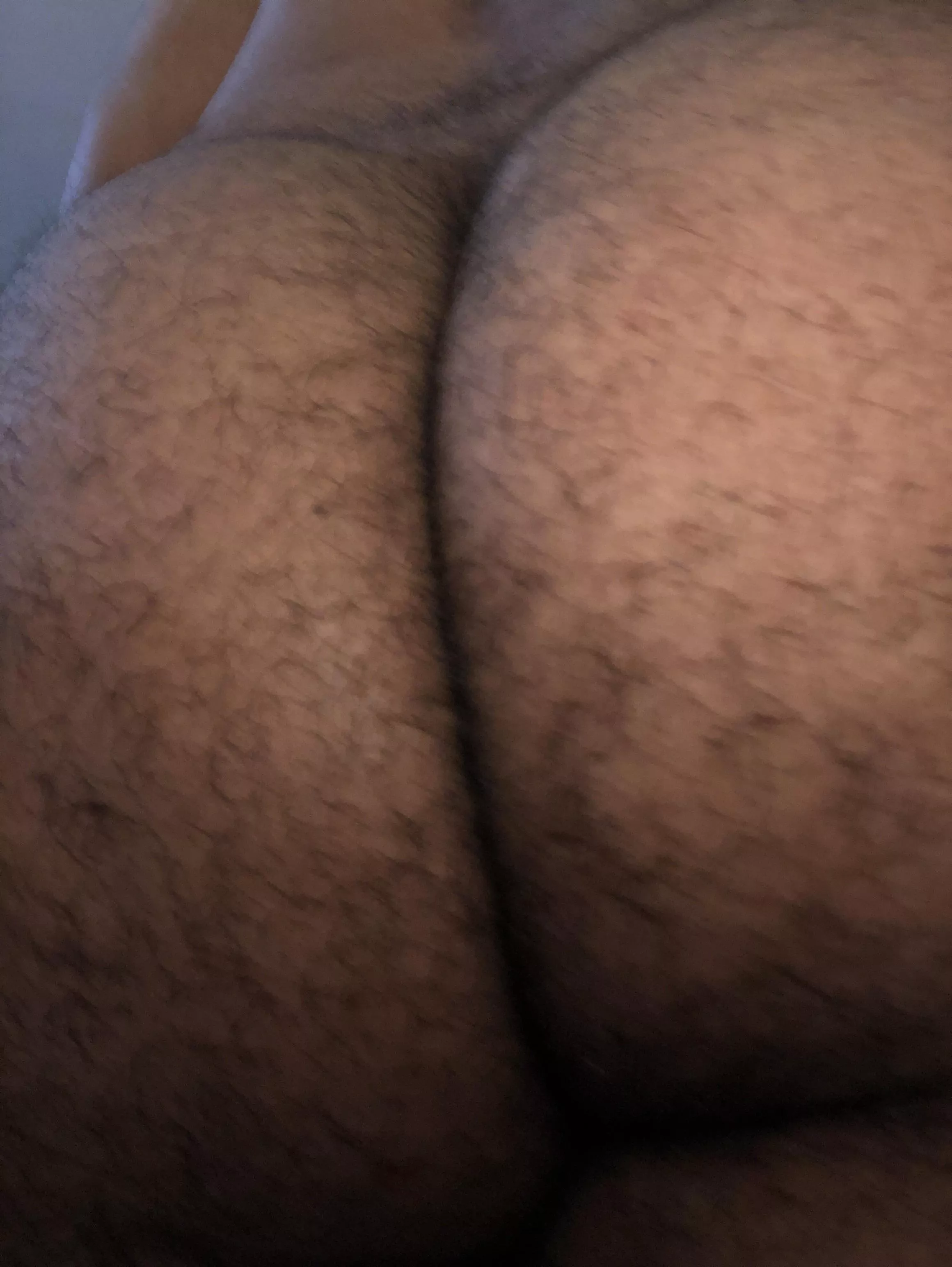 Hairy ass for you