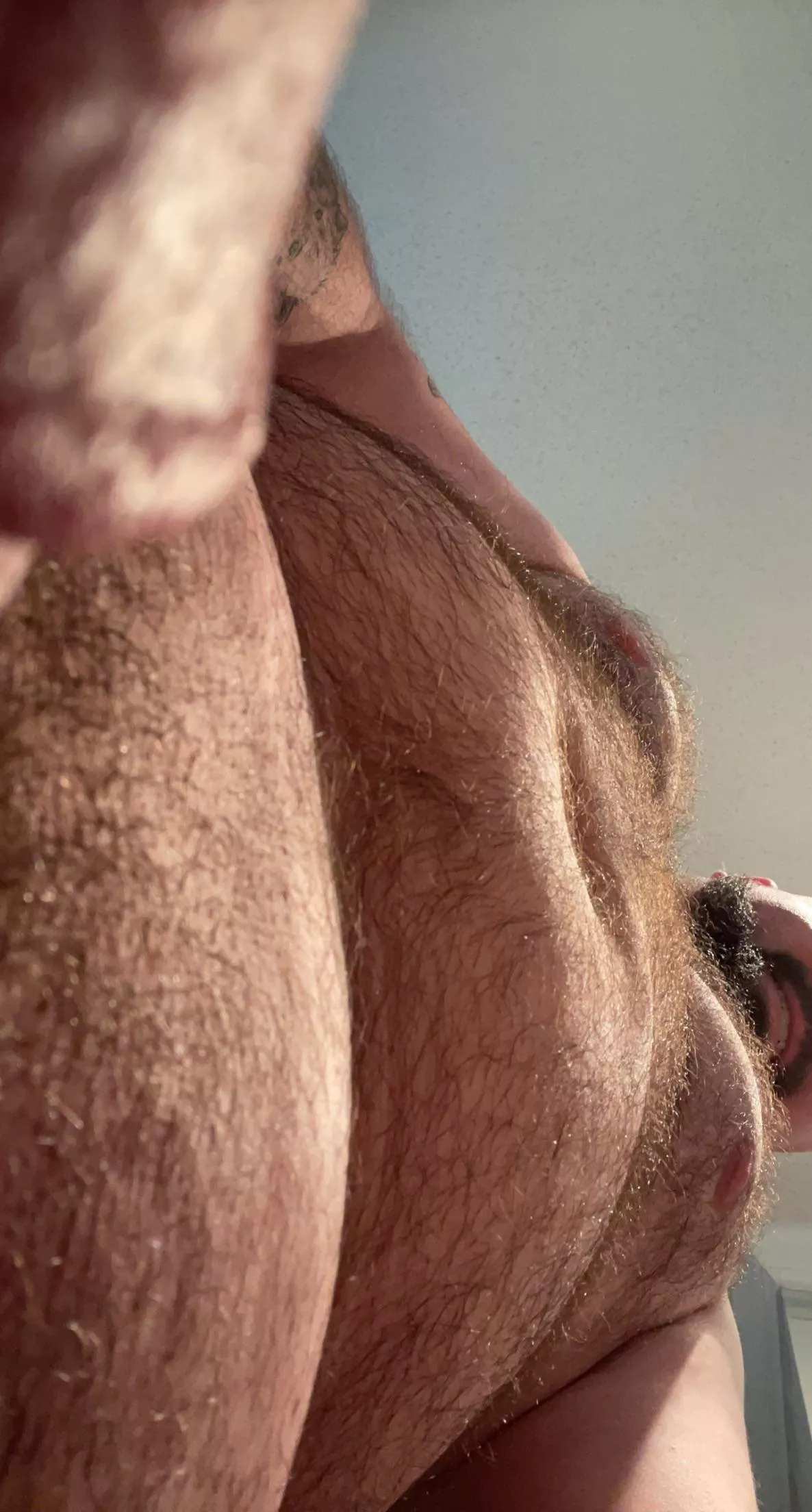 Hairy bitsâ€¦