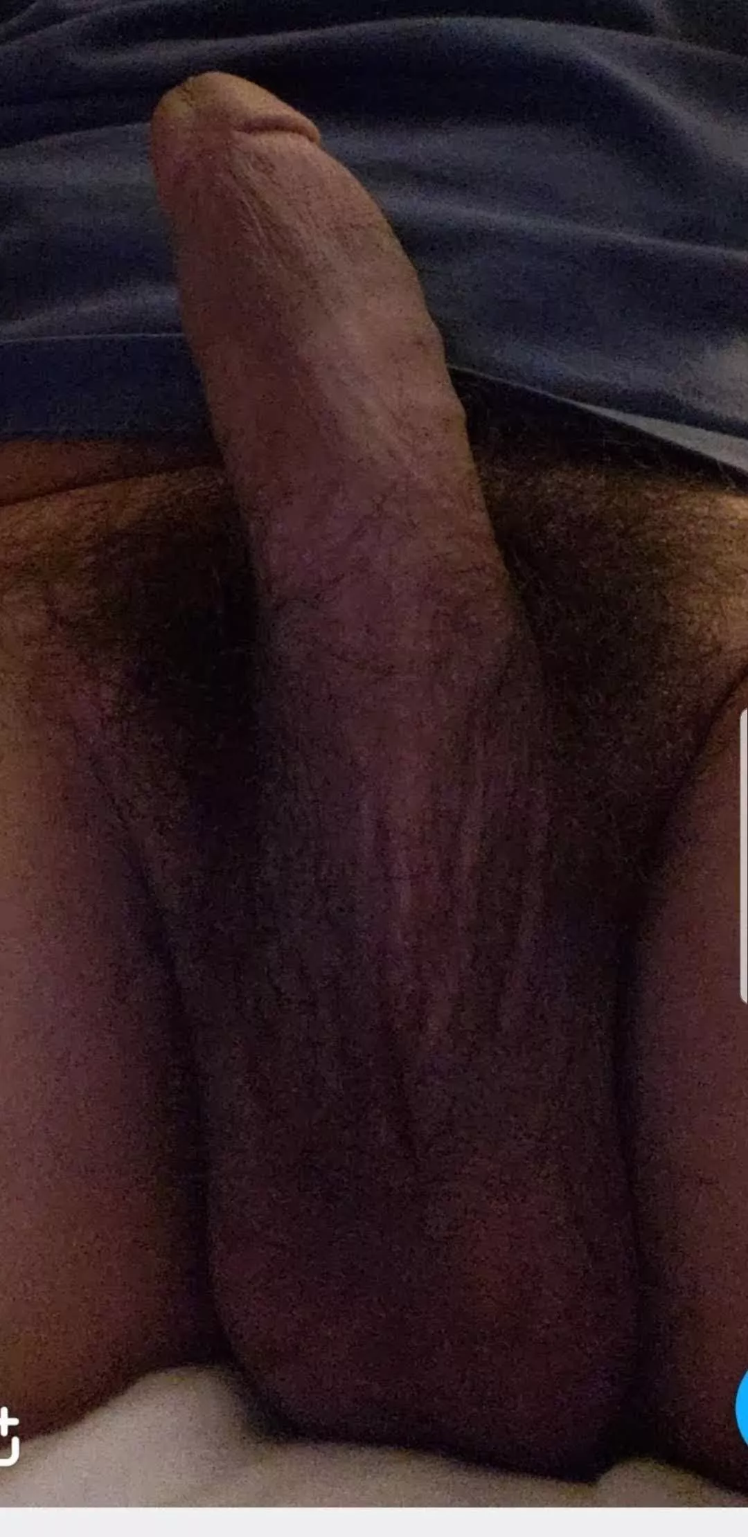 hairy brown cock