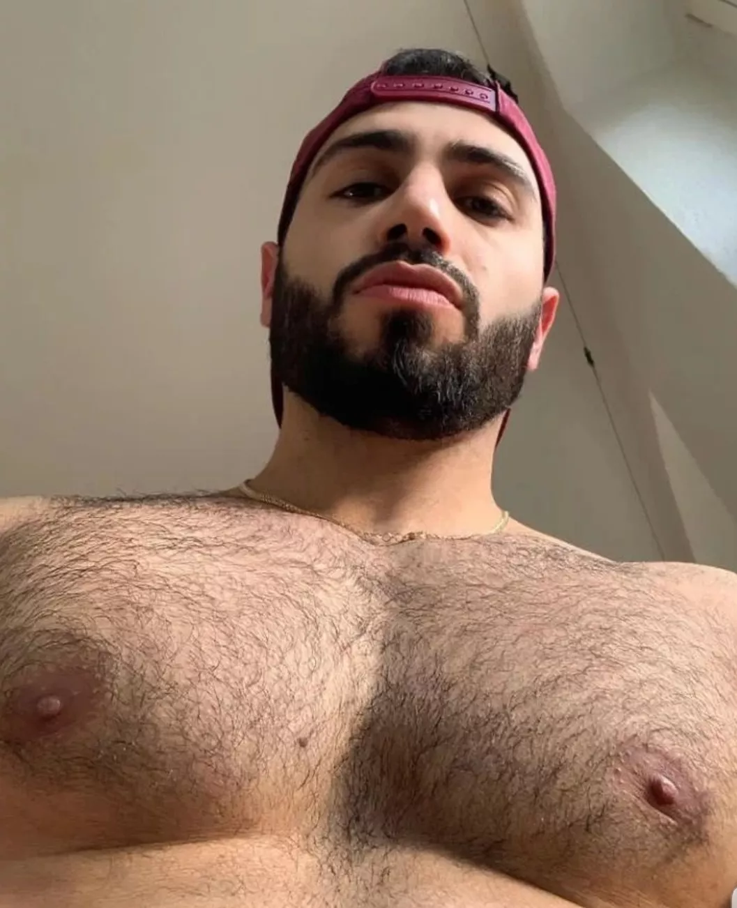 HAIRY CHEST