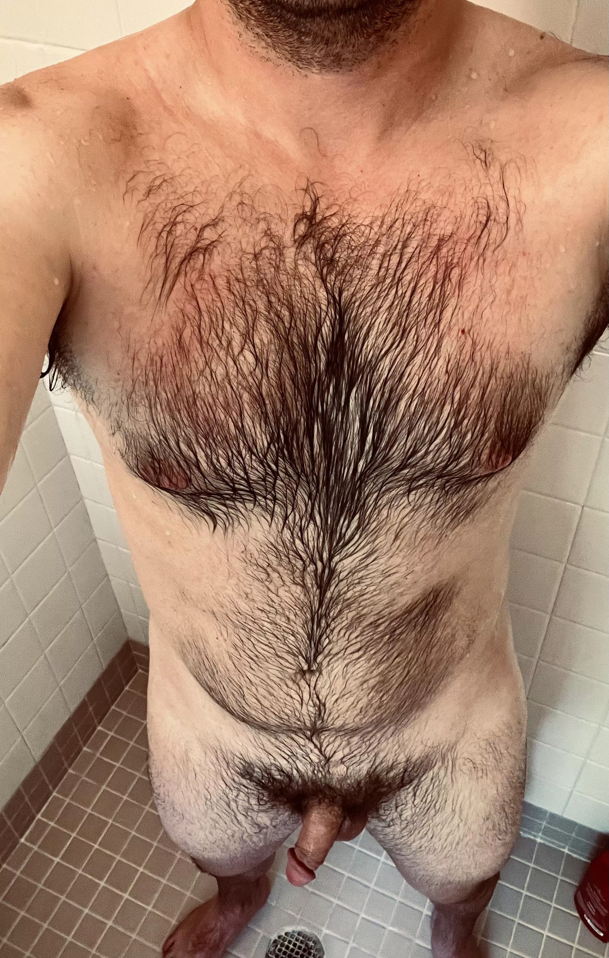 Hairy chest. Soft dick. Look ok?