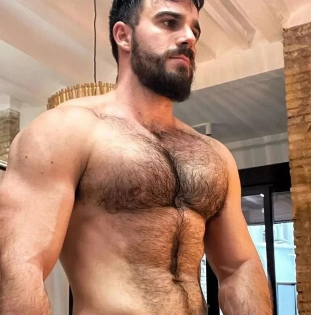 HAIRY CHEST