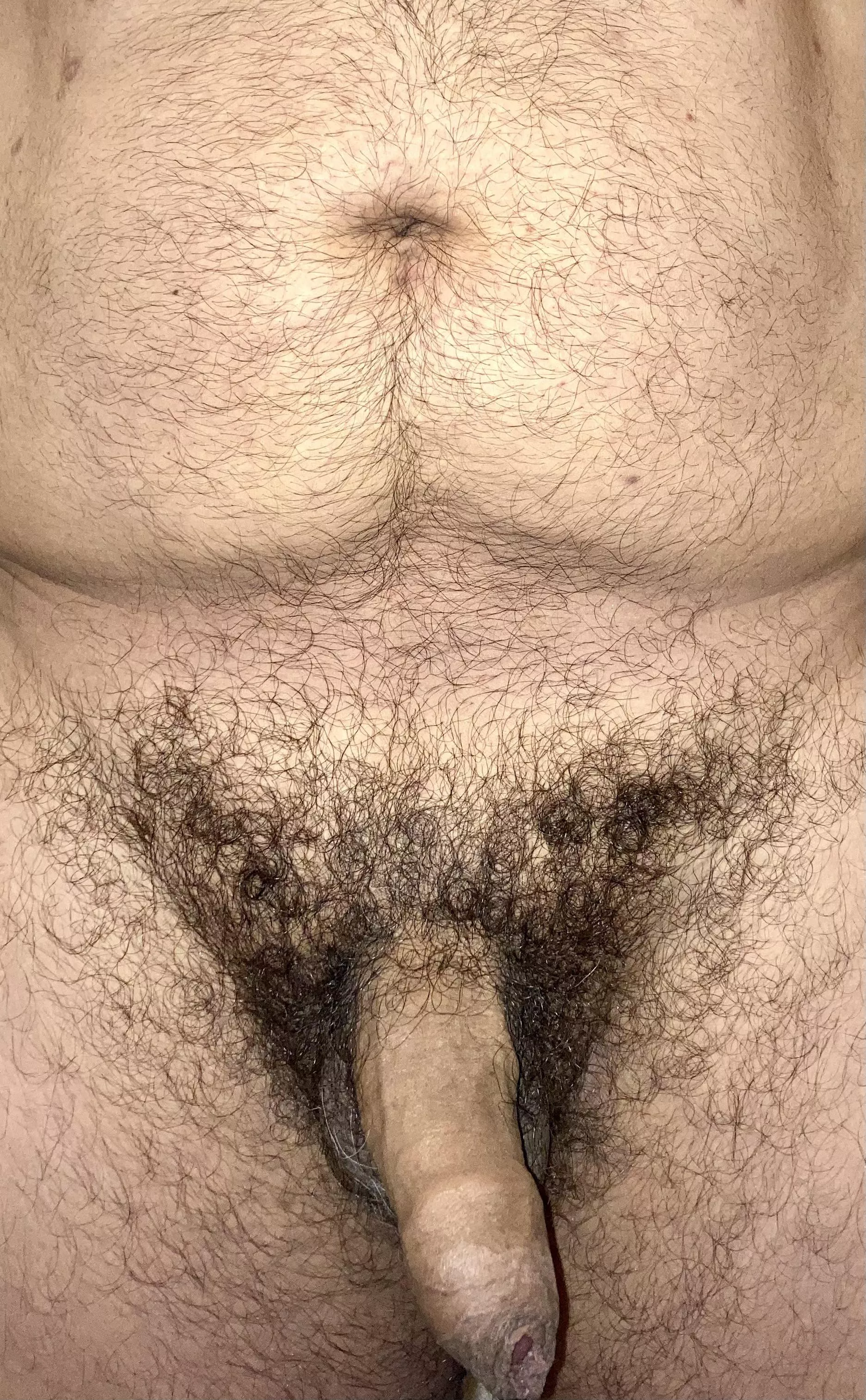 Hairy cock and balls!