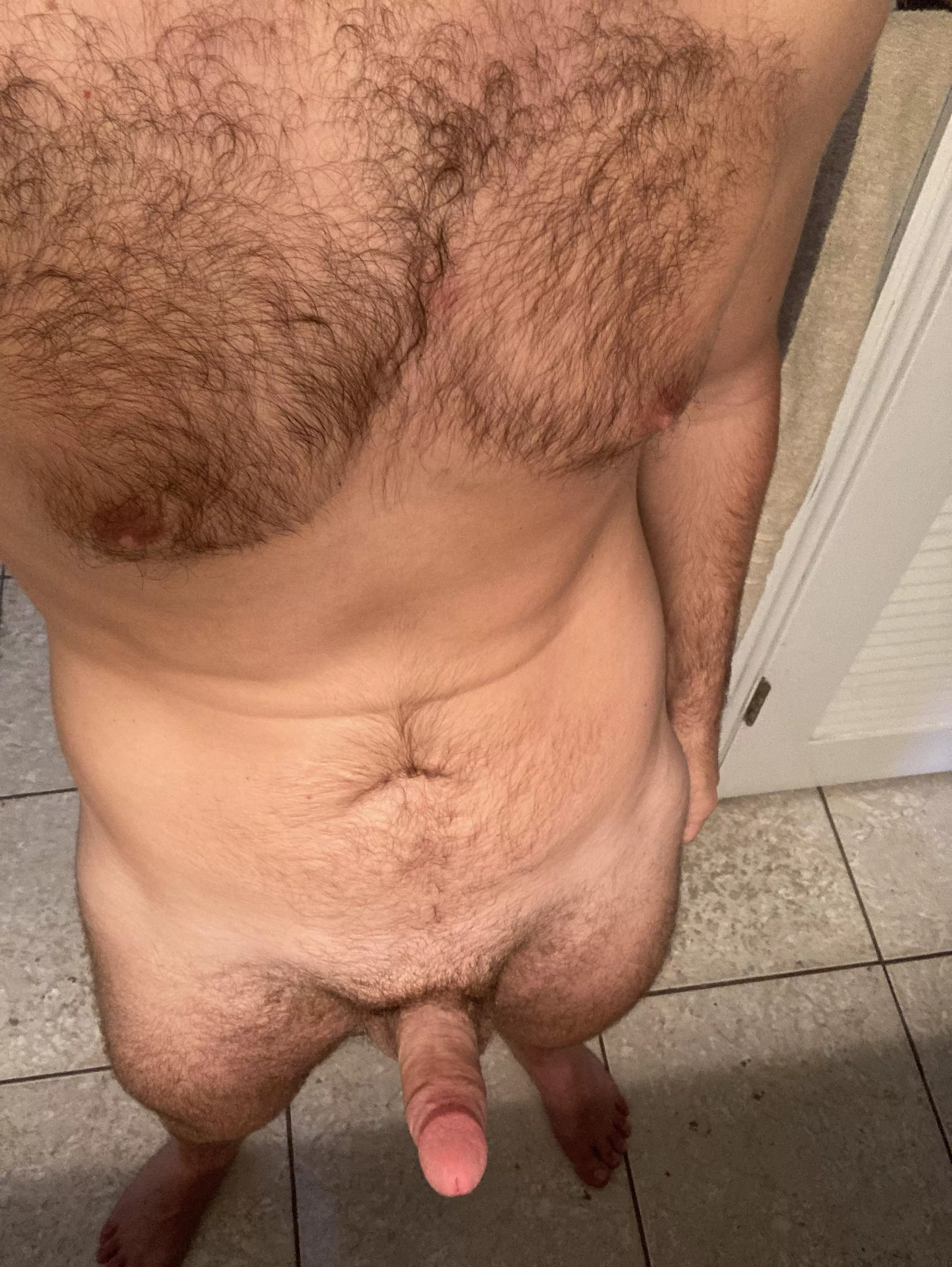 Hairy Enough? (27)