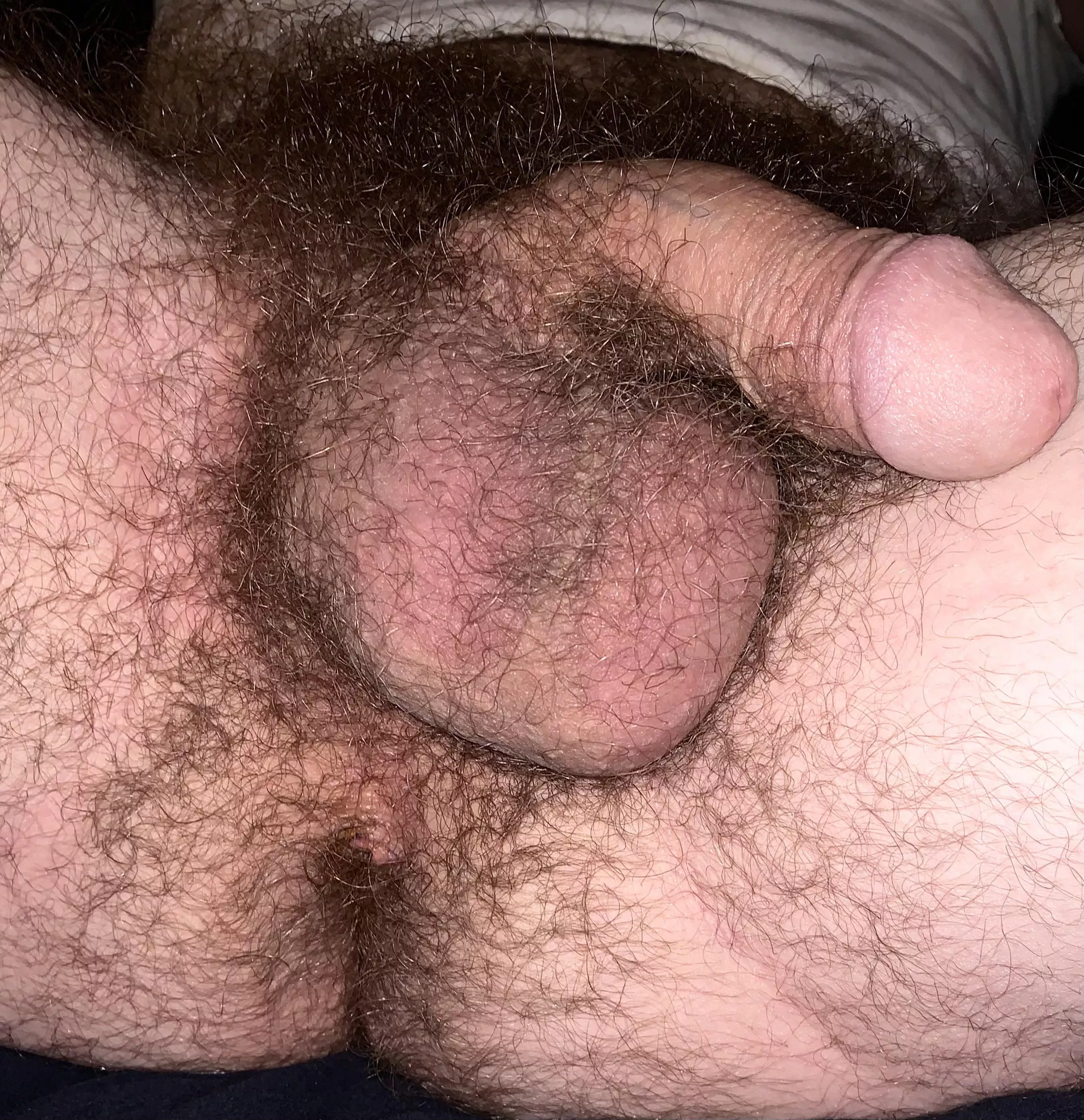 Hairy enough?