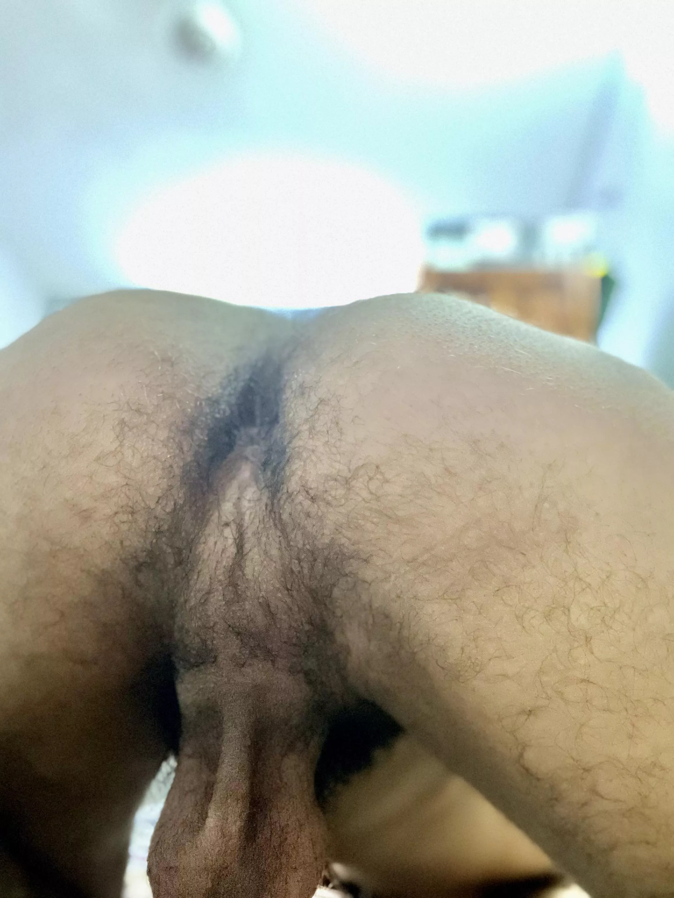 Hairy enough? Cream all over please