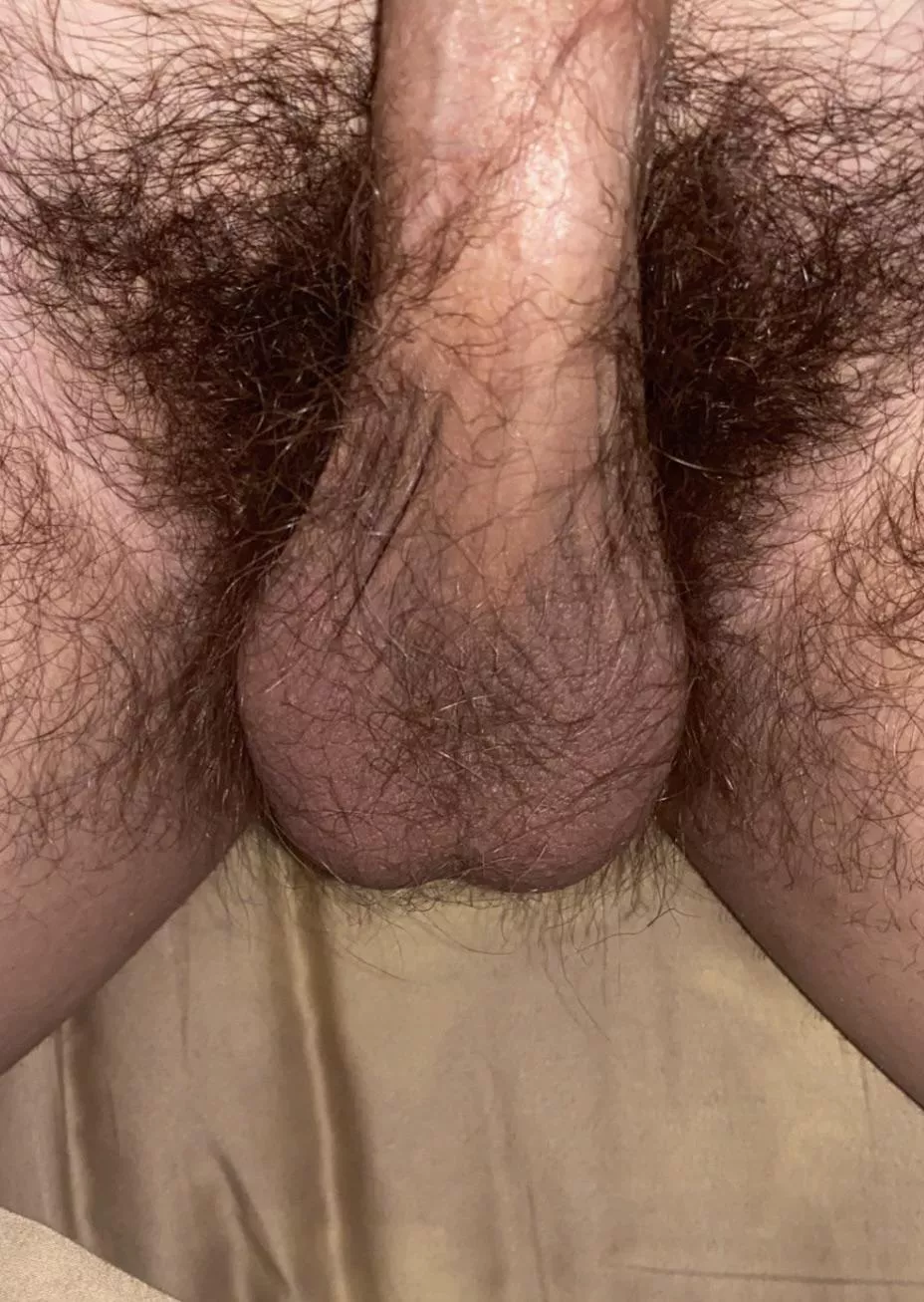 Hairy middle eastern balls