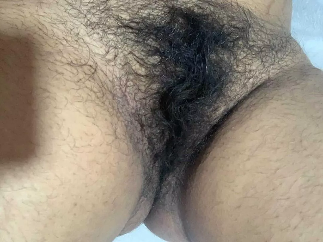 Hairy pussy