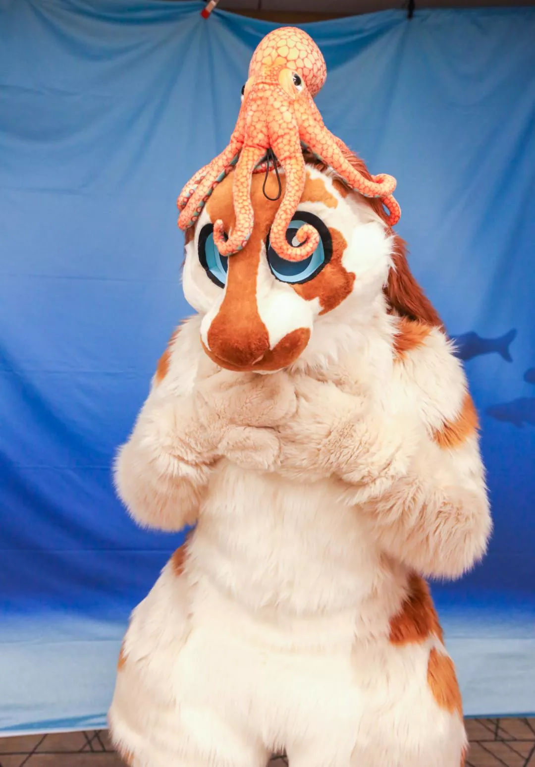 Happy Fursuit Friday! check out this octopus I found!