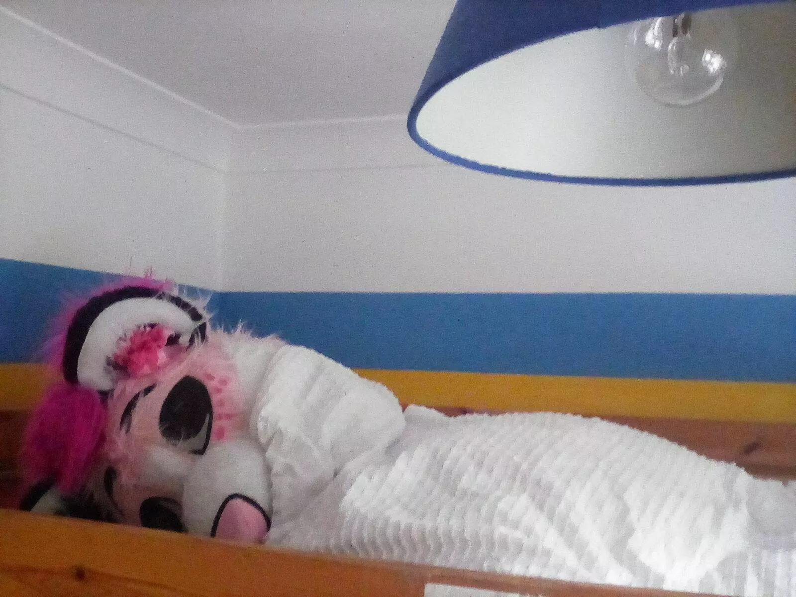 Happy fursuit Friday Everyone, I'm spending it, in bed