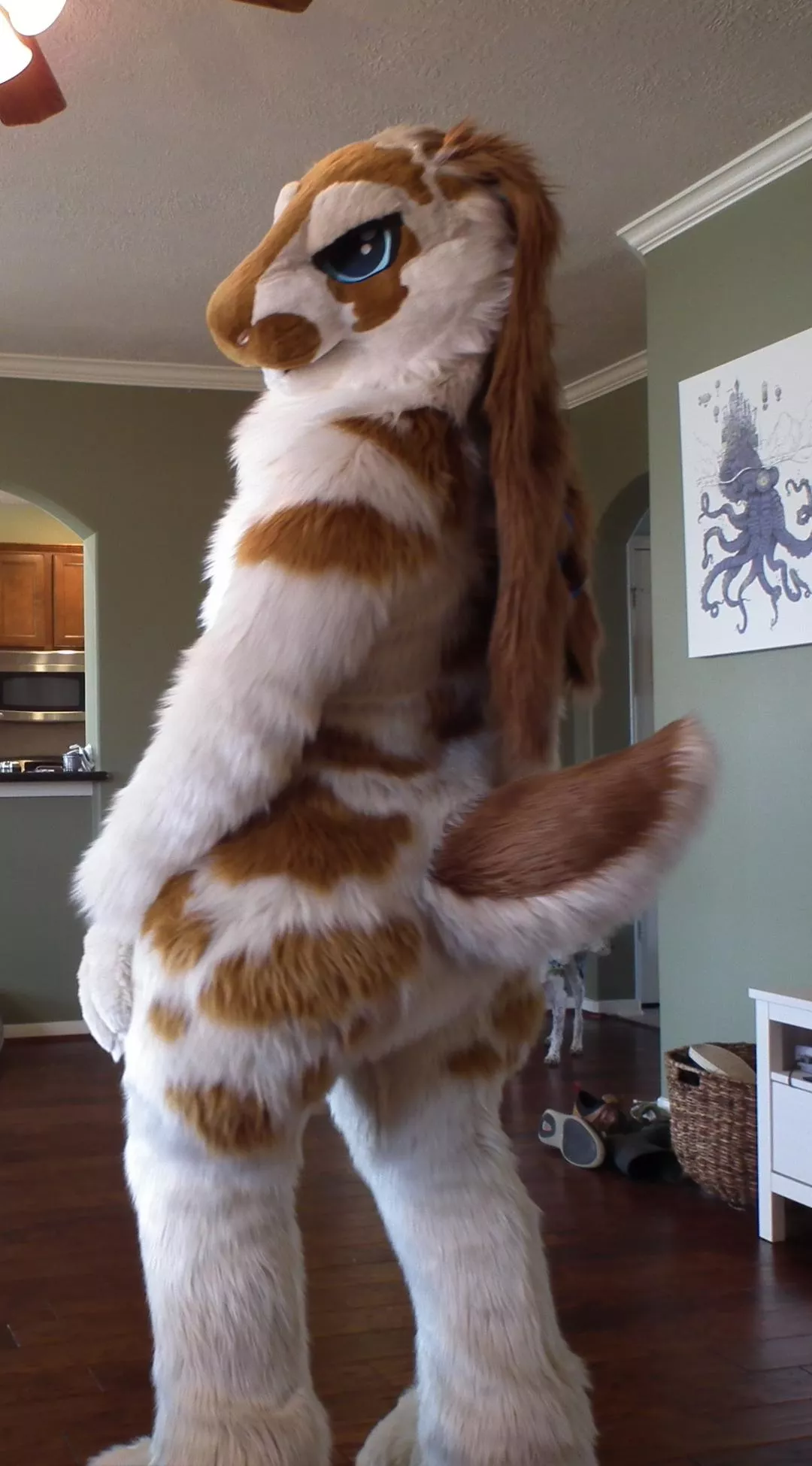 Happy Fursuit Friday! need to practice my poses.