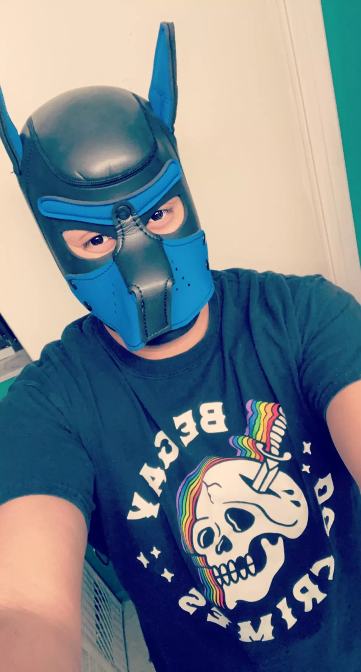 Happy pride from pup Kako :) awroooo !